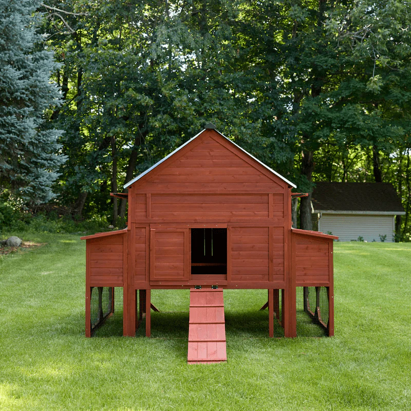 Chicken Coop for 15 Chickens – Brahma Chicken Coop - Image 6