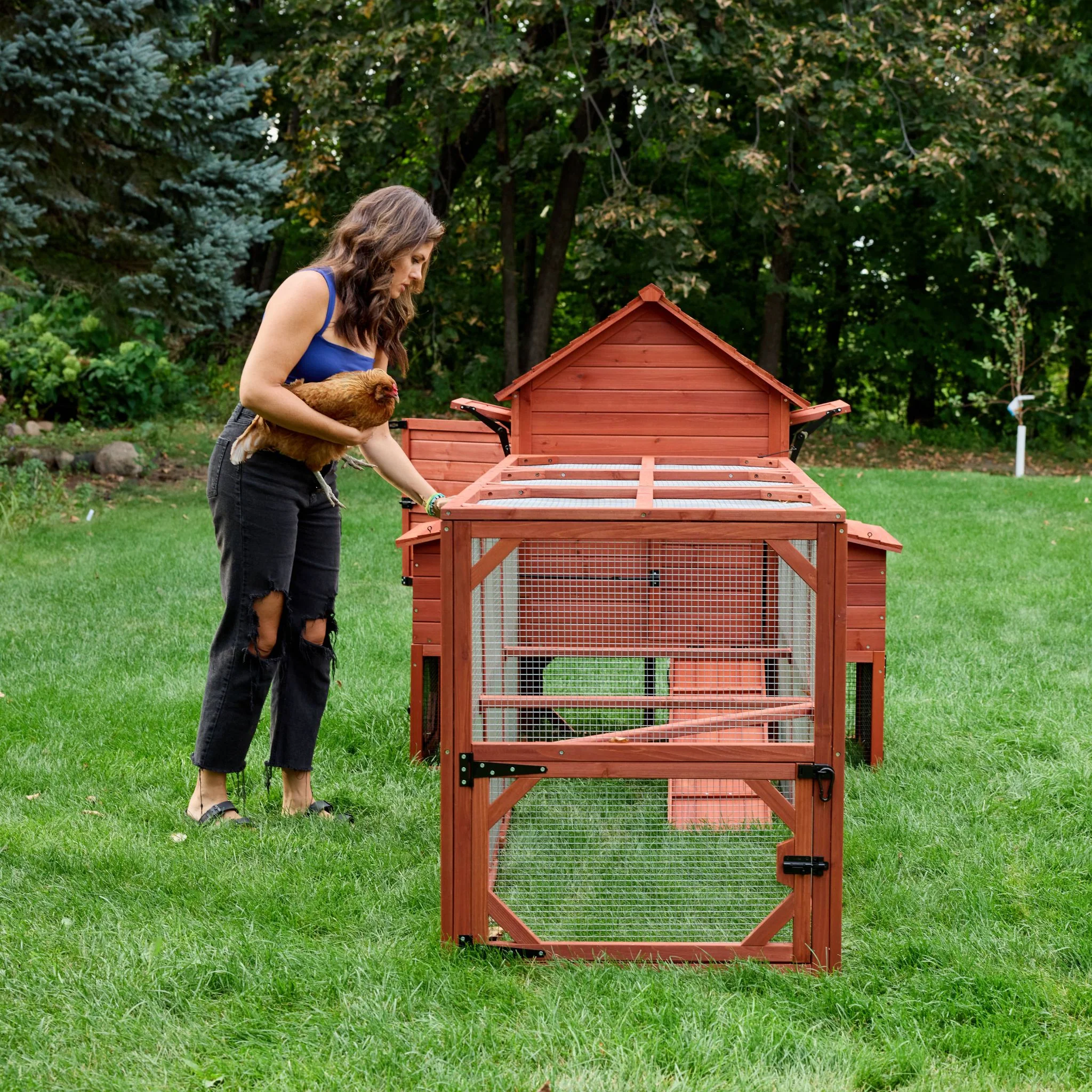 Chicken Coop for 6 Chickens – Orpington Lodge - Image 20