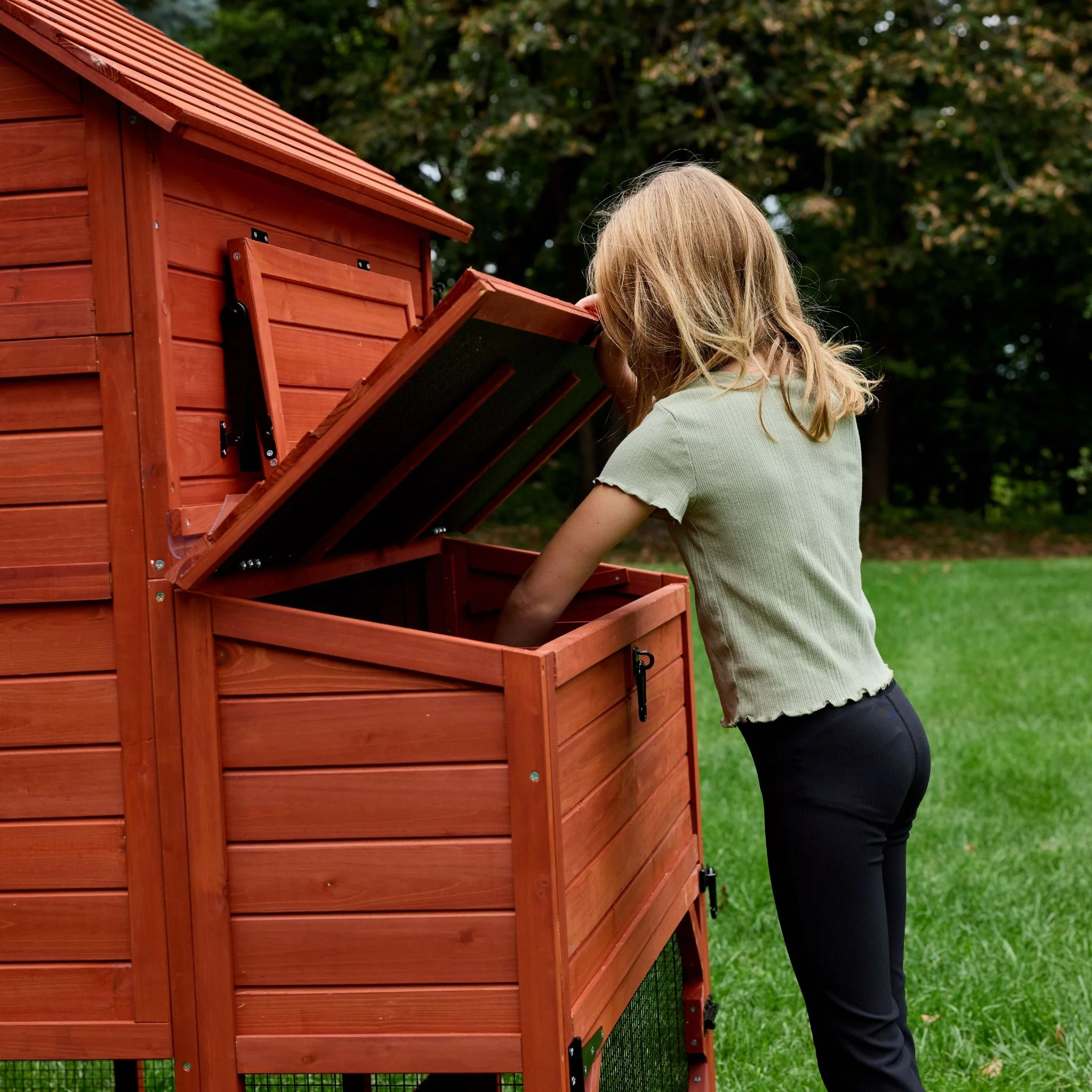 Chicken Coop for 6 Chickens – Orpington Lodge - Image 23