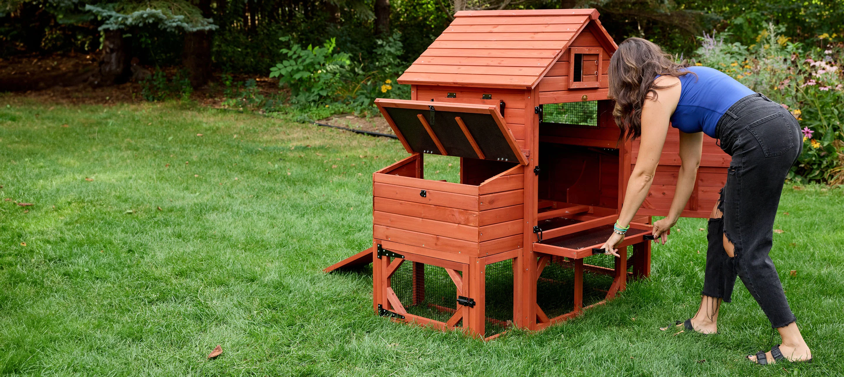 Chicken Coop for 6 Chickens – Orpington Lodge - Image 22