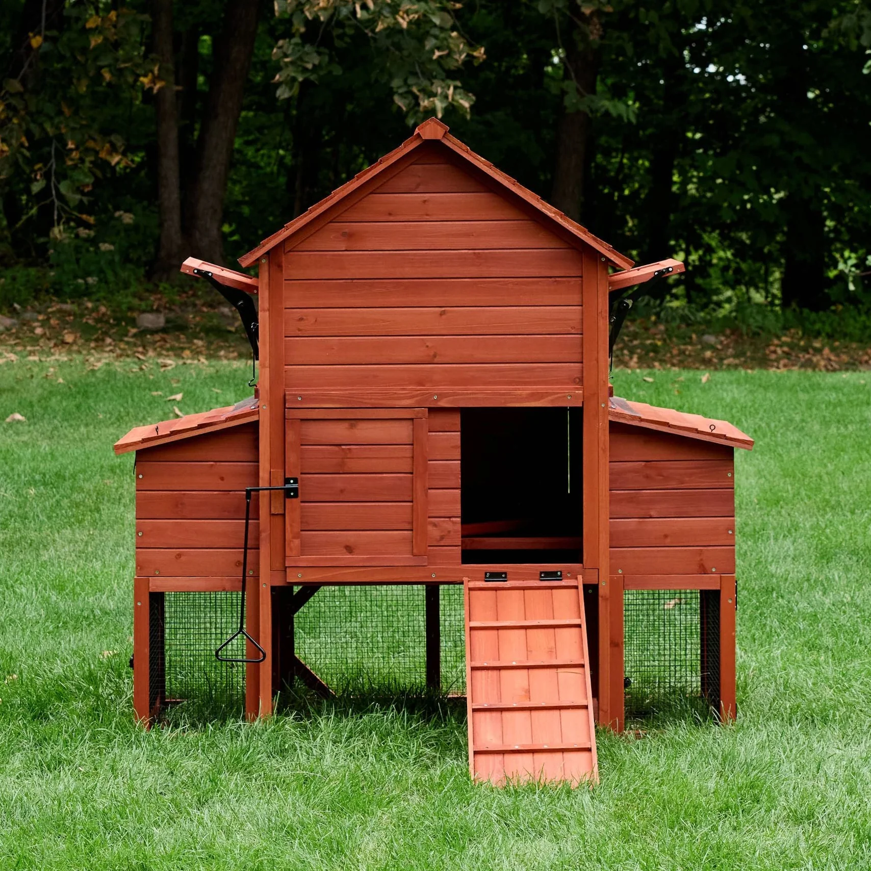 Chicken Coop for 6 Chickens – Orpington Lodge - Image 7