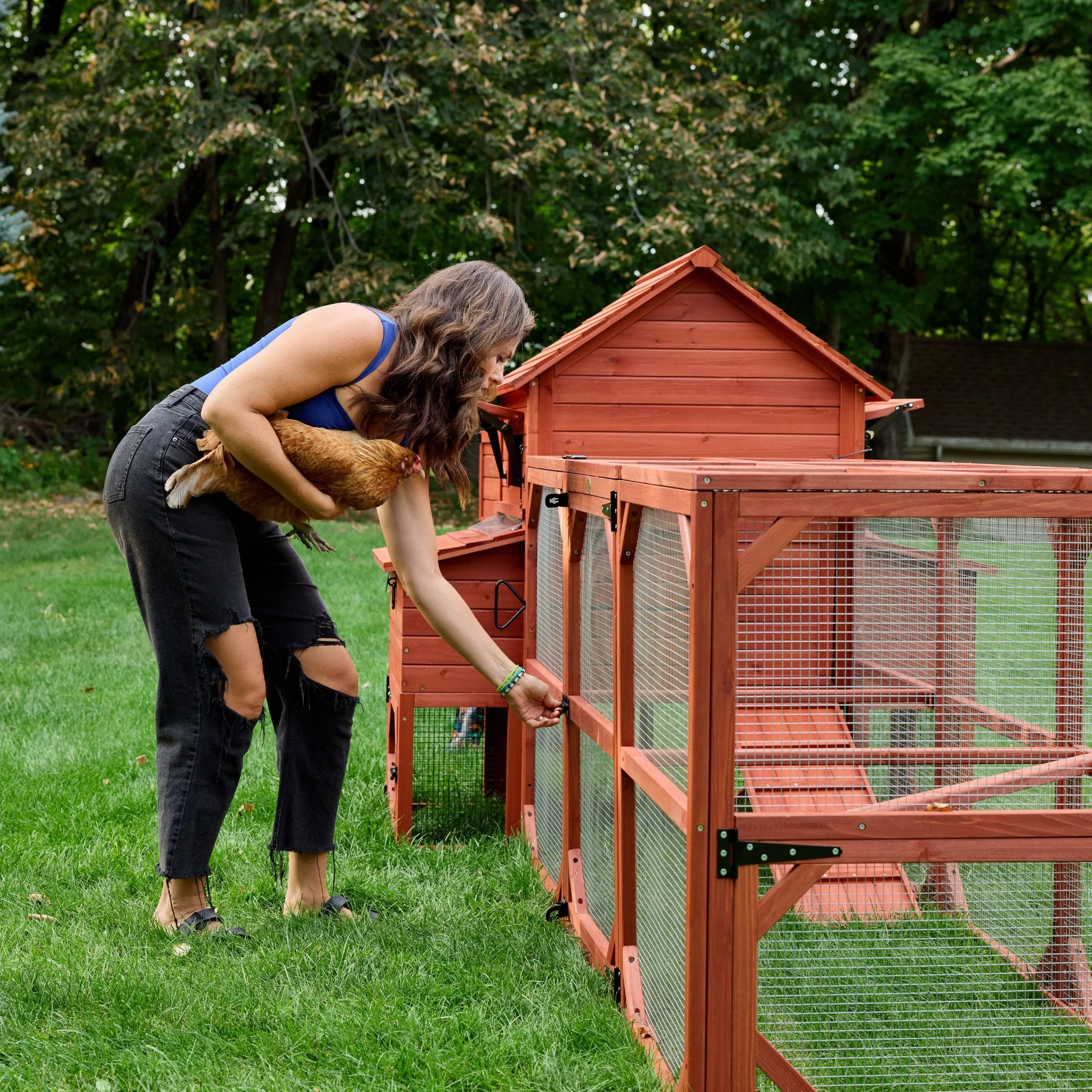 Chicken Coop for 6 Chickens – Orpington Lodge - Image 21
