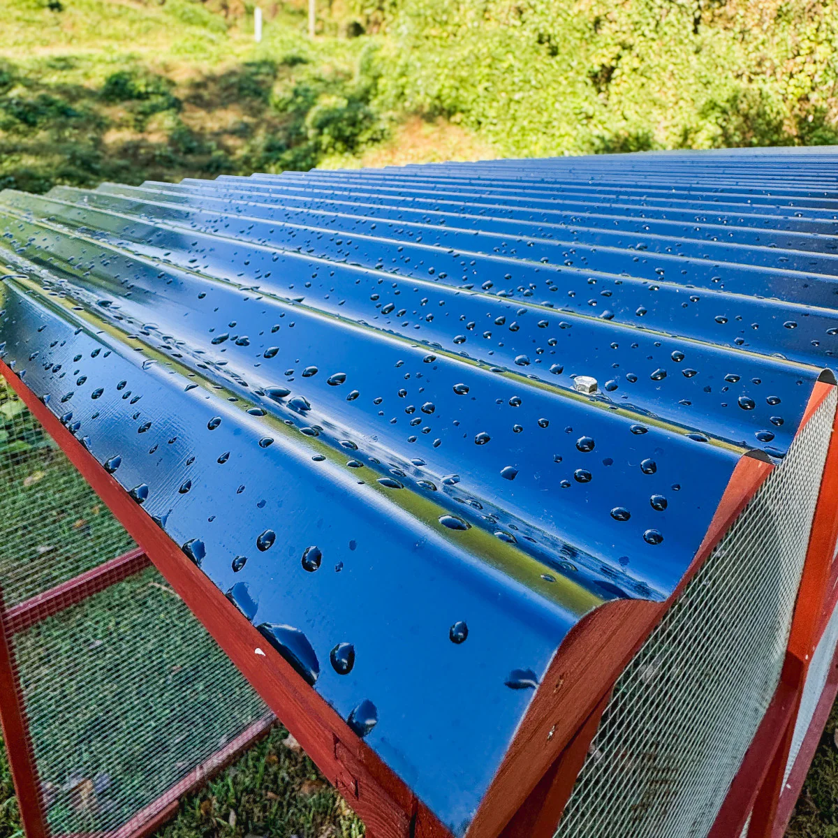 Metal Roof for Run Extension - Image 6
