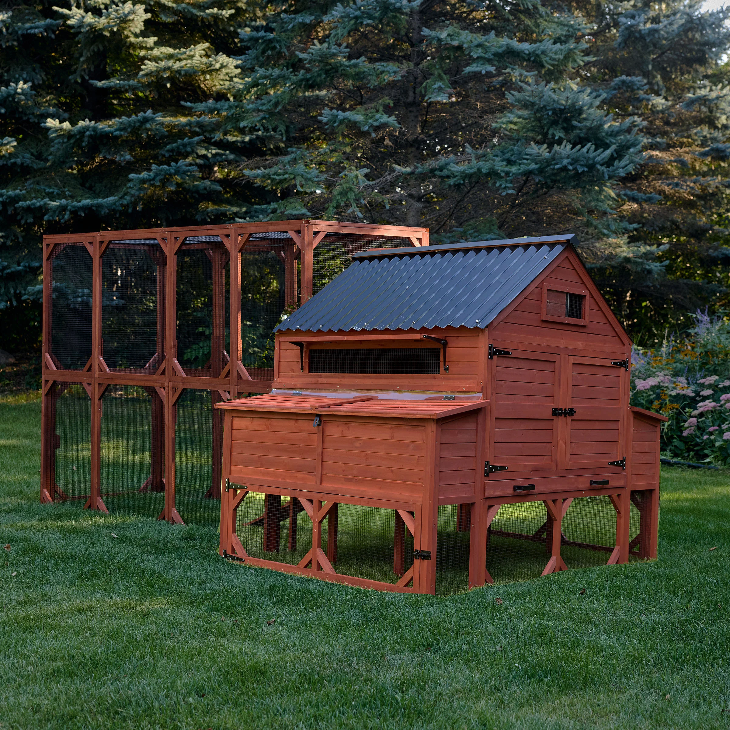 Chicken Coop for 15 Chickens – Brahma Chicken Coop - Image 14