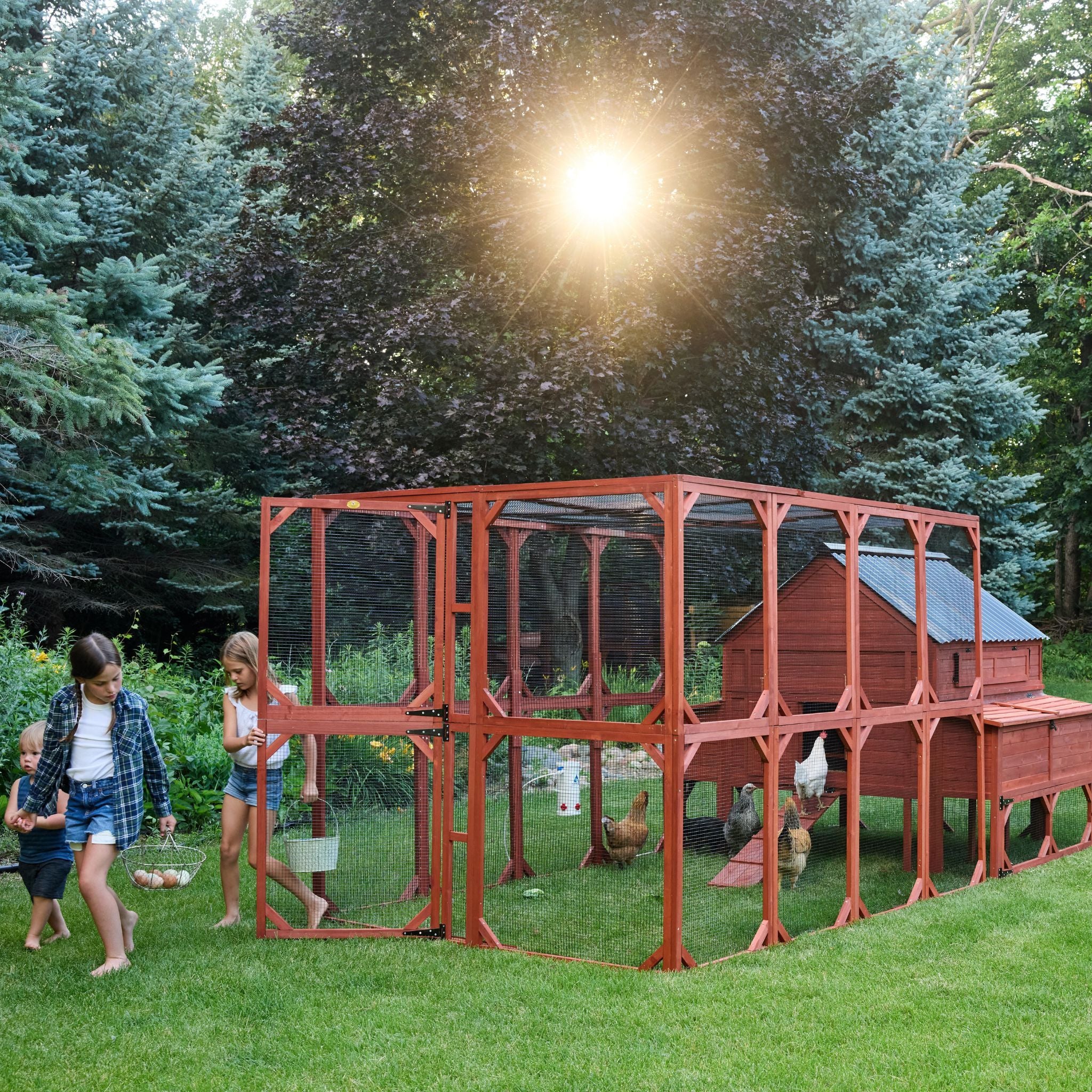 Chicken Coop for 15 Chickens – Brahma Chicken Coop - Image 3