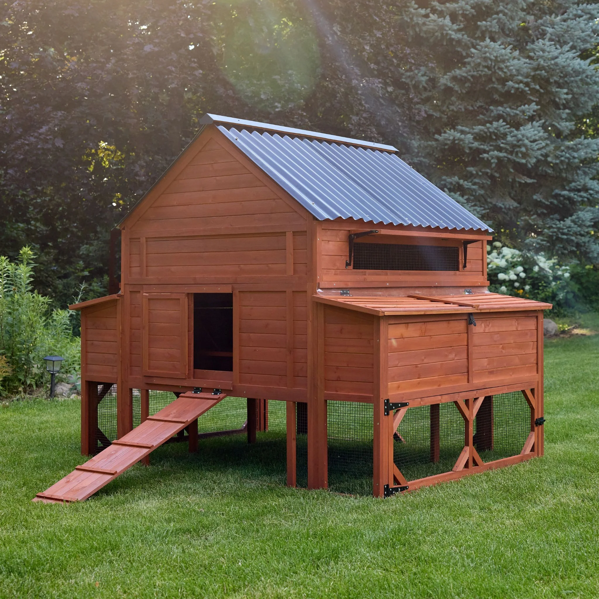 Chicken Coop for 15 Chickens – Brahma Chicken Coop - Image 4