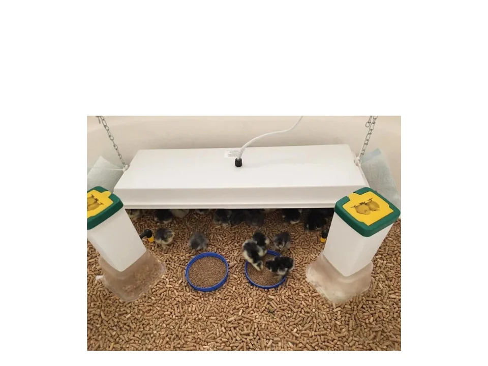 Chicken Coop Heater - Energy Efficient Radiant Heat - 3 Year Warranty - Image 11