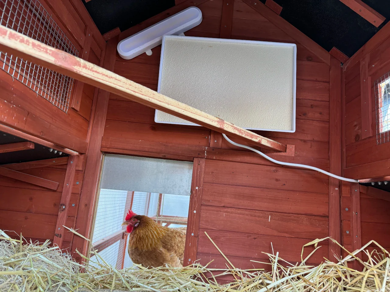 Chicken Coop Heater - Energy Efficient Radiant Heat - 3 Year Warranty - Image 6