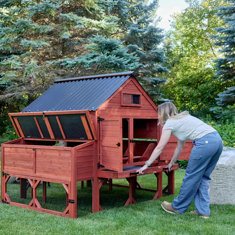 Coop Catch/Poop Tray - Image 3