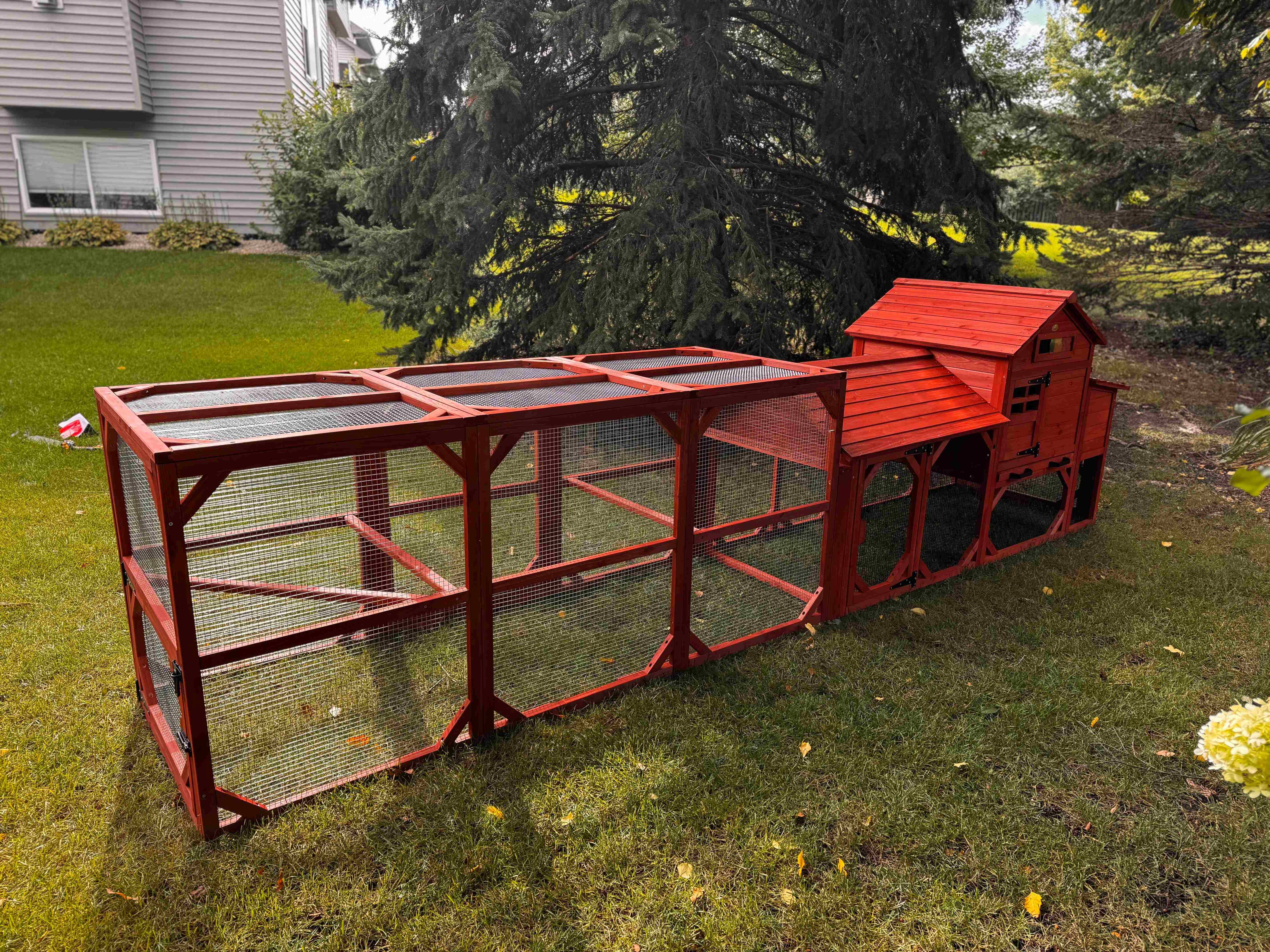 Chicken Coop for 4 Chickens – Leghorn Cottage Chicken Coop - Image 13