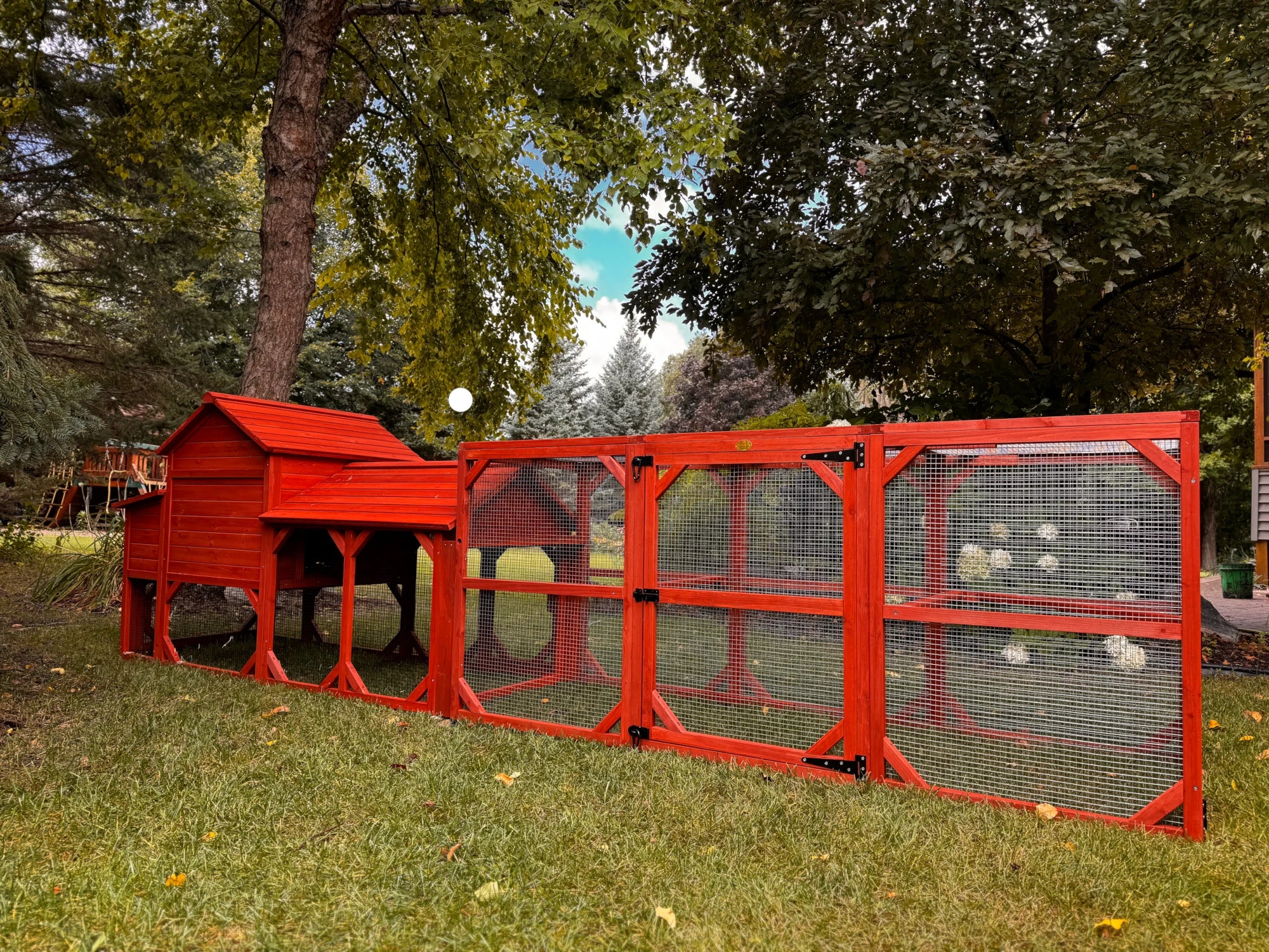 Chicken Coop for 4 Chickens – Leghorn Cottage Chicken Coop - Image 16