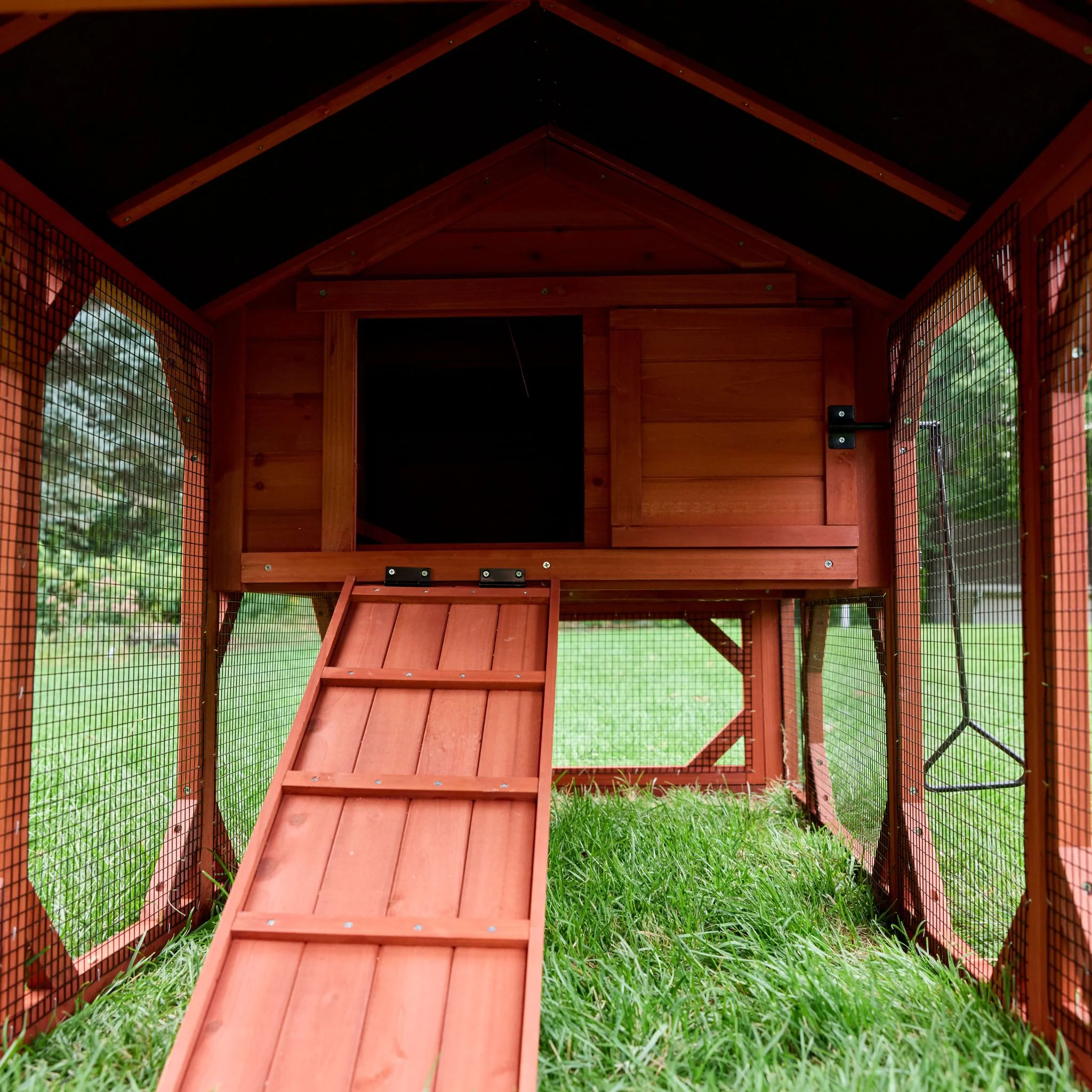 Chicken Coop for 4 Chickens – Leghorn Cottage Chicken Coop - Image 5