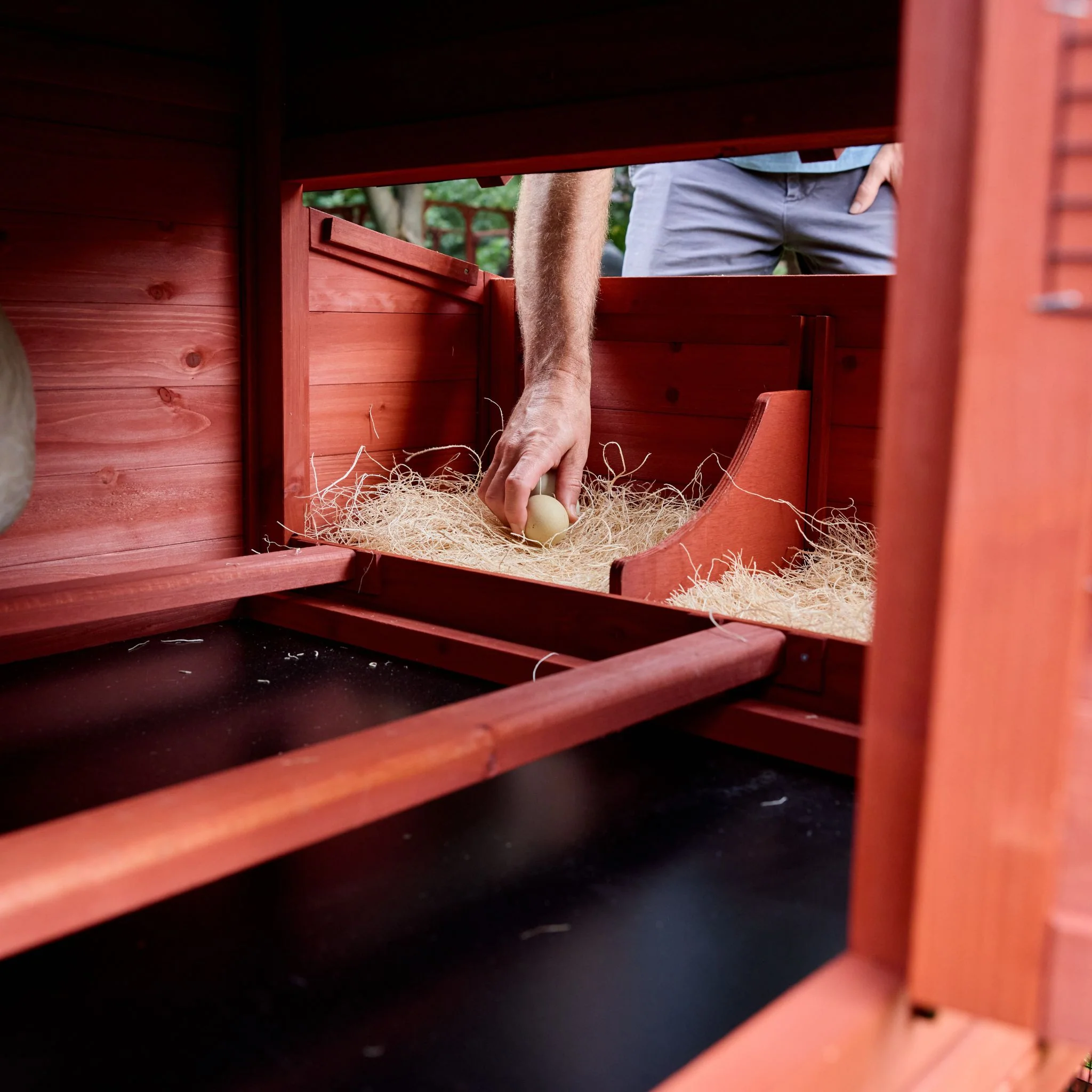 Chicken Coop for 4 Chickens – Leghorn Cottage Chicken Coop - Image 6