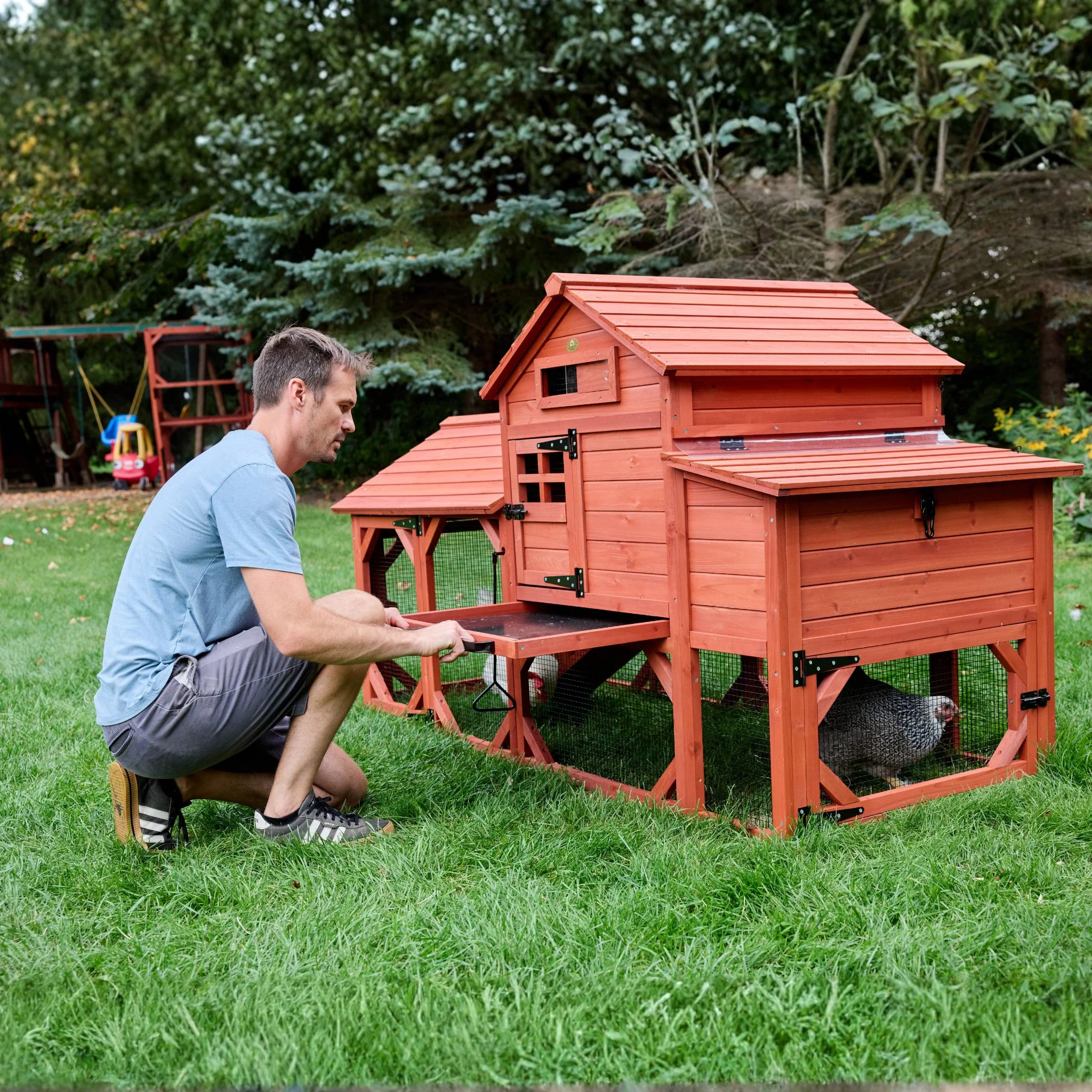 Chicken Coop for 4 Chickens – Leghorn Cottage Chicken Coop - Image 8