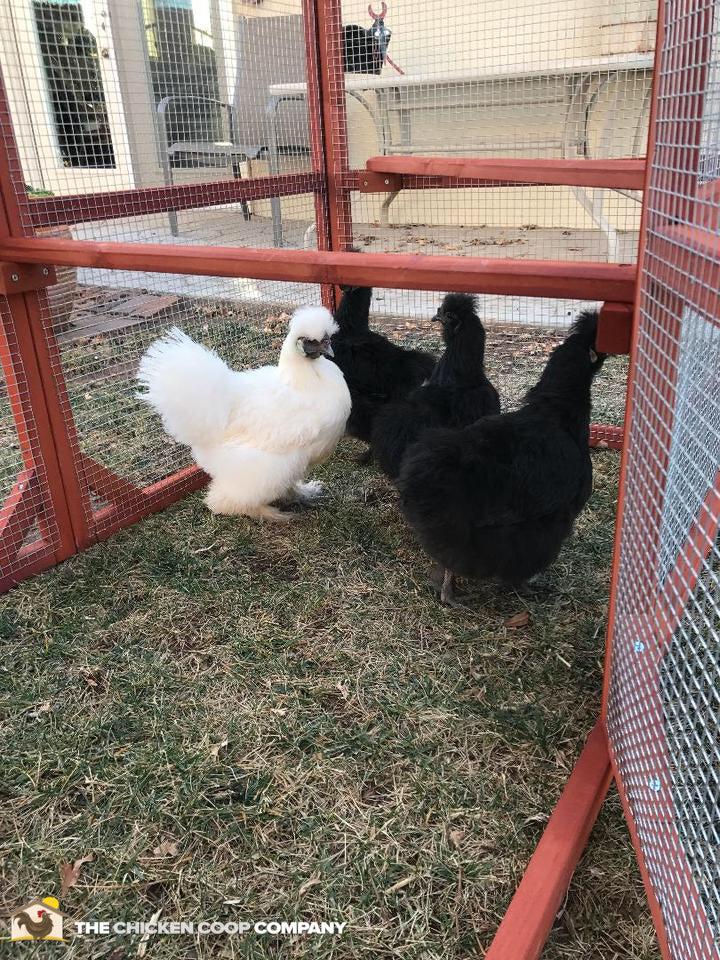 Orpington Lodge Run Extension - Image 5