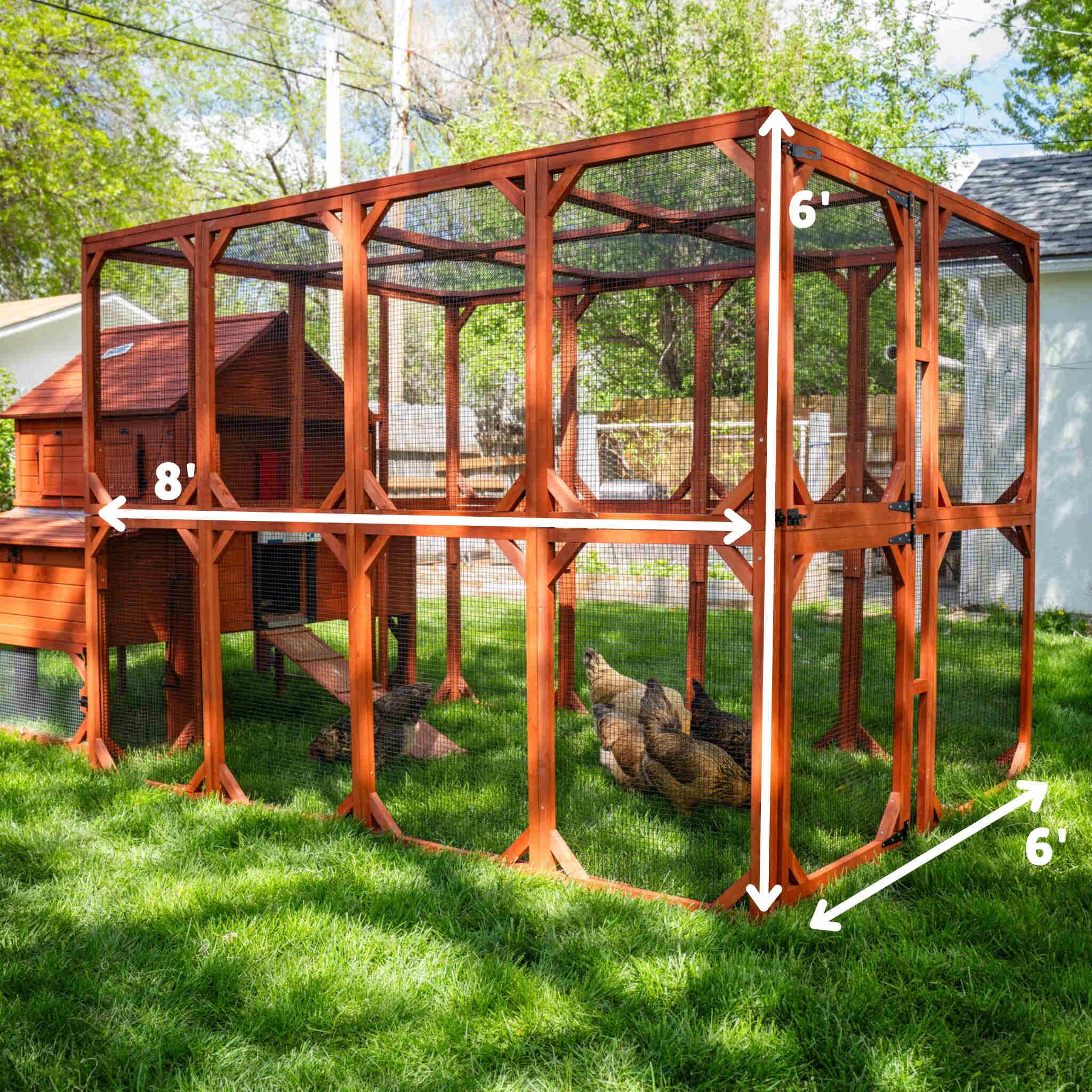 XL Brahma Chicken Run Extension 6'x8' - Image 3