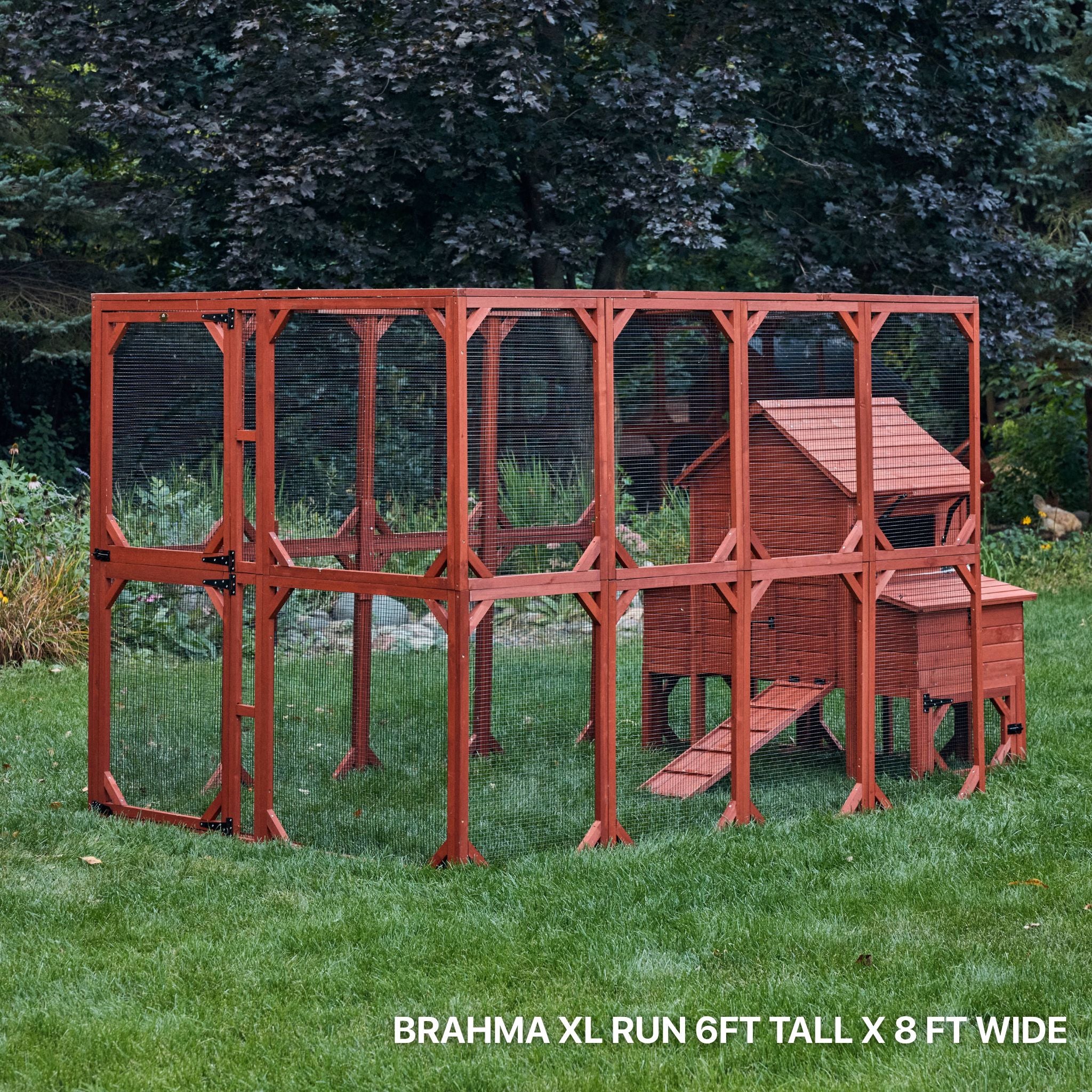 XL Brahma Chicken Run Extension 6'x8' - Image 4