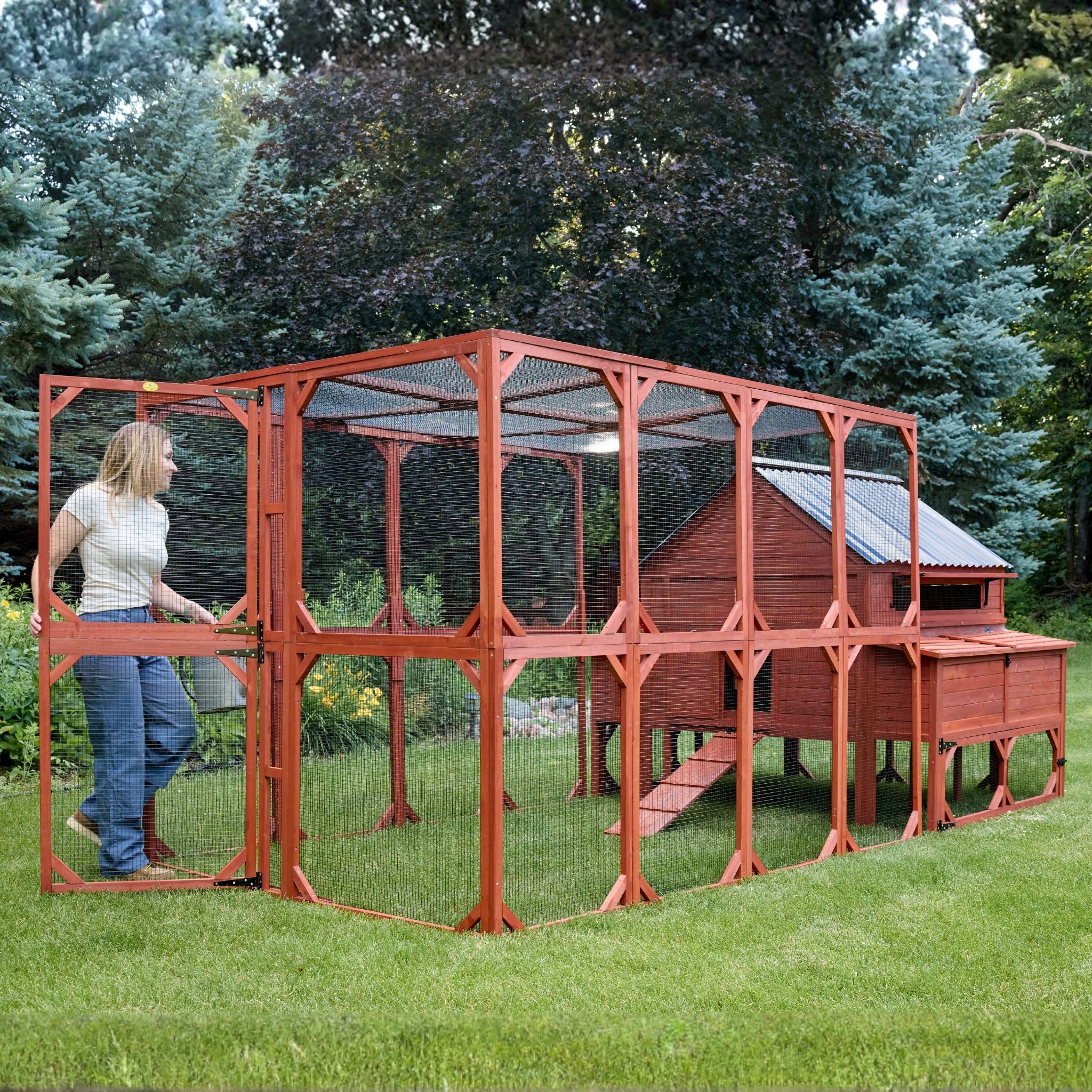 XL Brahma Chicken Run Extension 6'x8' - Image 6