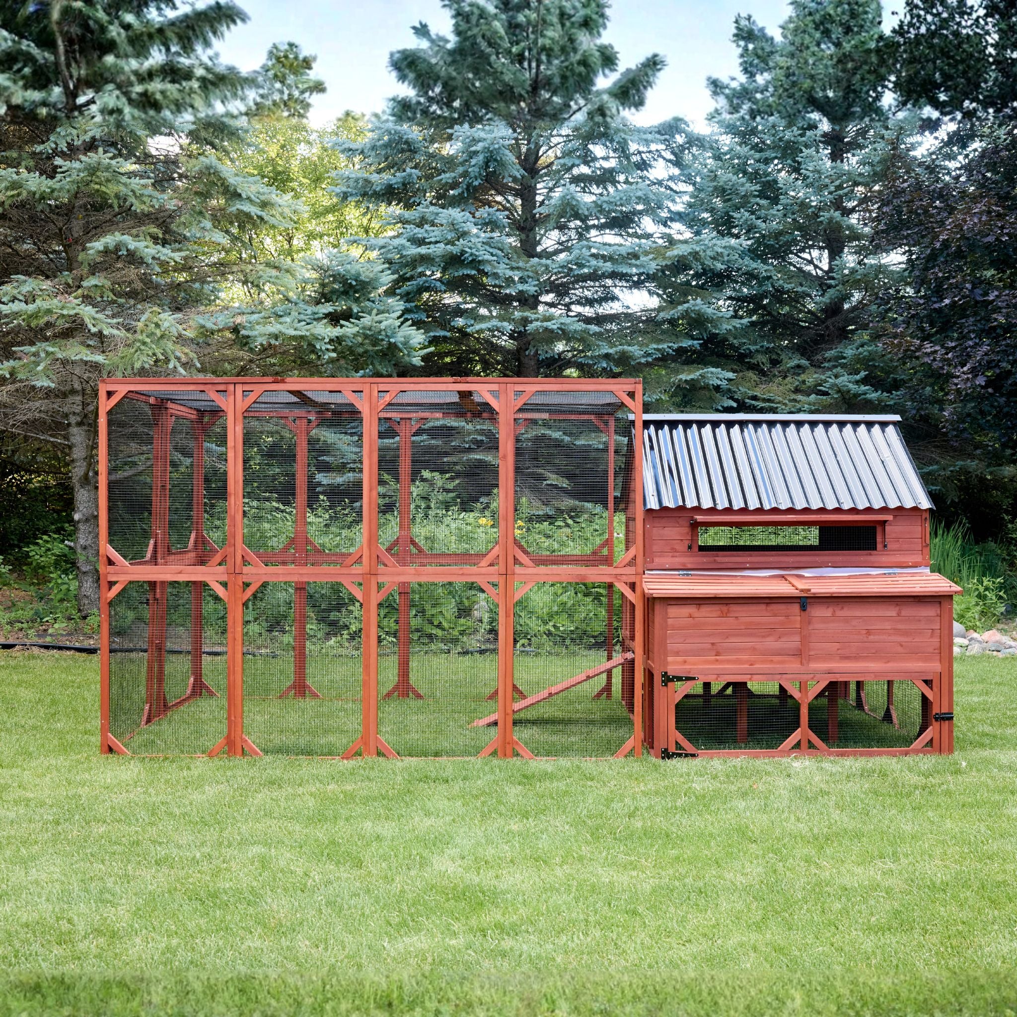 XL Brahma Chicken Run Extension 6'x8' - Image 7