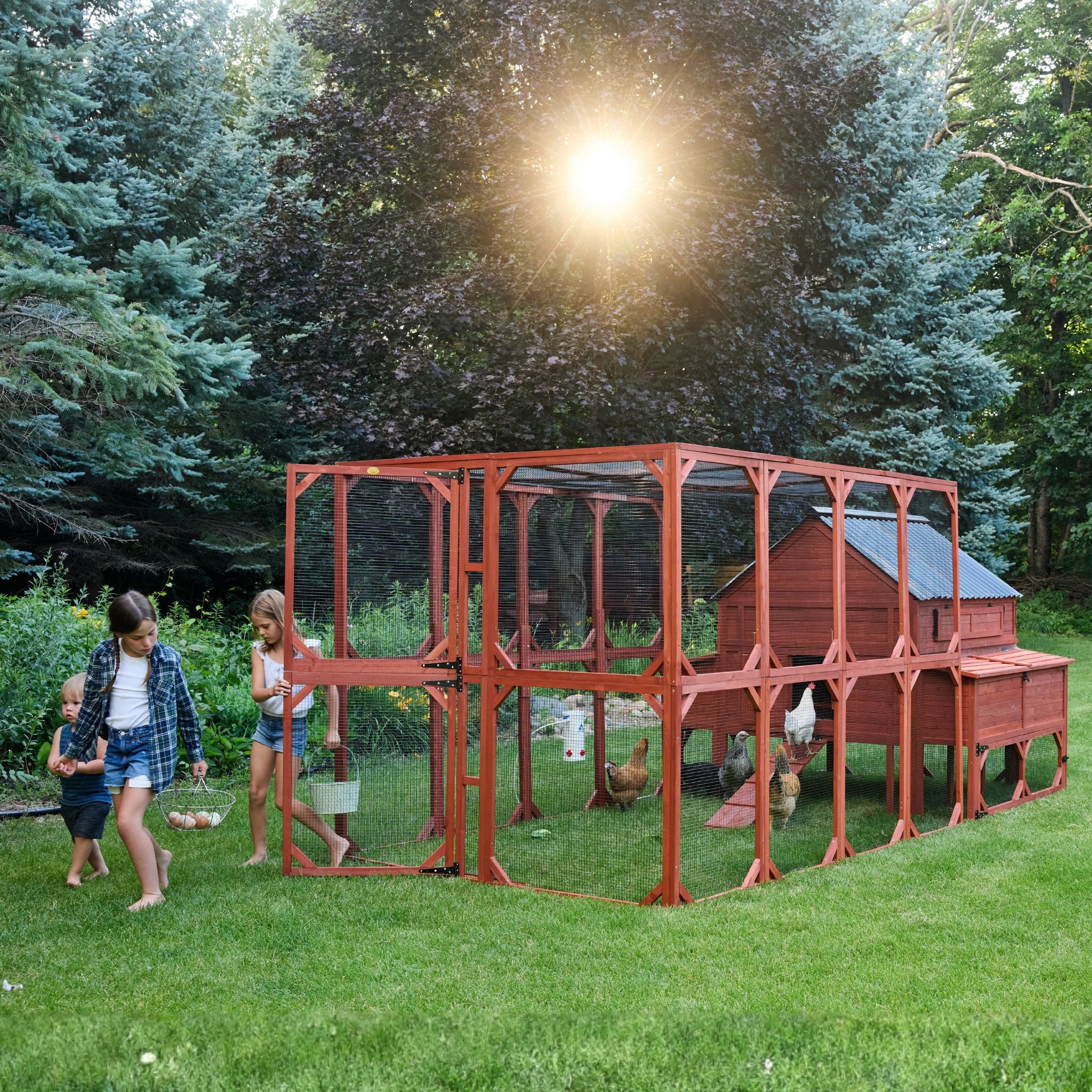 XL Brahma Chicken Run Extension 6'x8' - Image 8