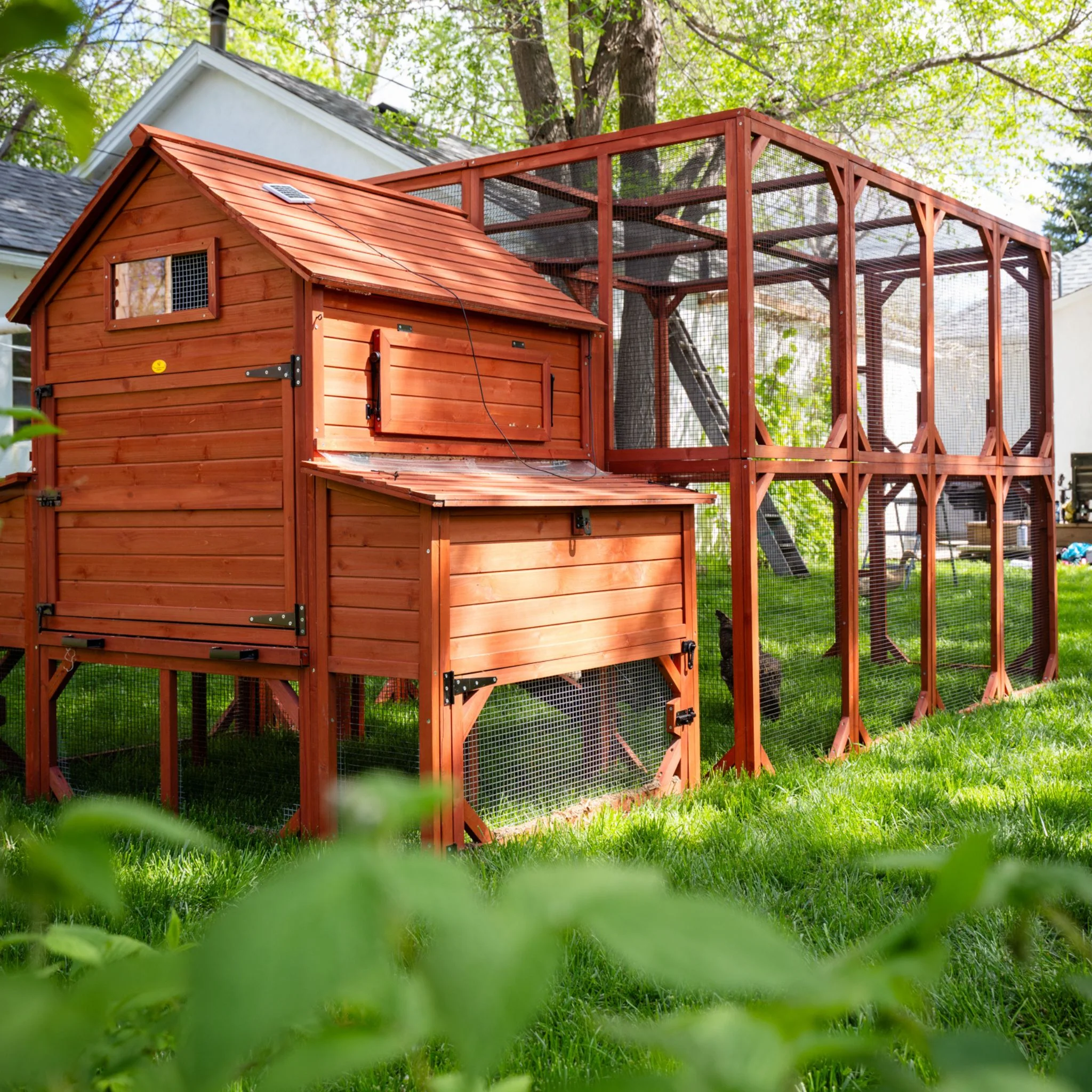 XL Brahma Chicken Run Extension 6'x8' - Image 9