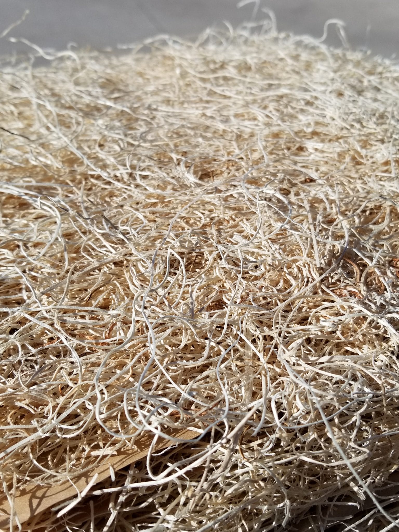 Natural Excelsior Aspen Fiber Nesting Pads | 13 x 13 Inches | Pack of 10 - Image 6