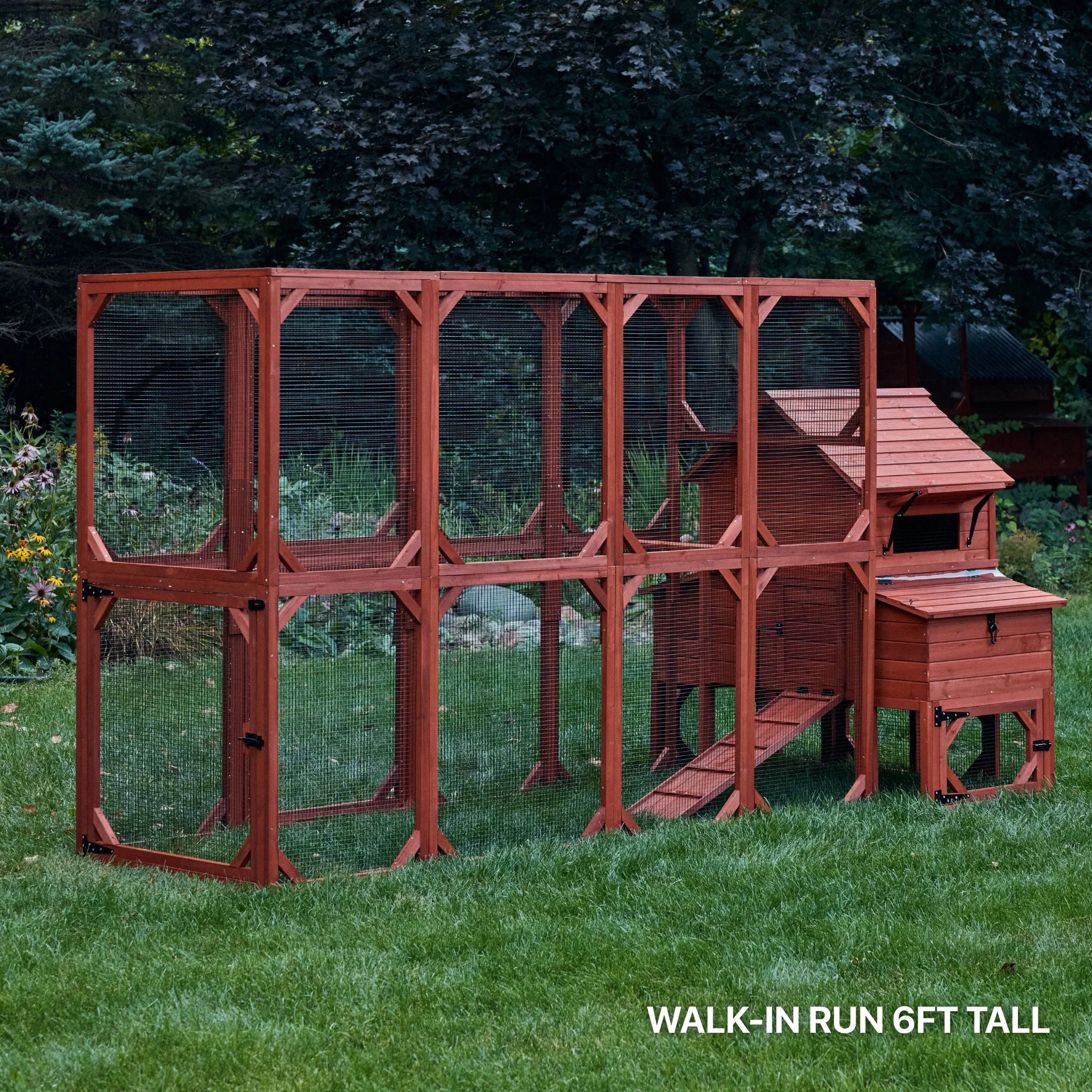 Chicken Coop for 6 Chickens – Orpington Lodge - Image 11