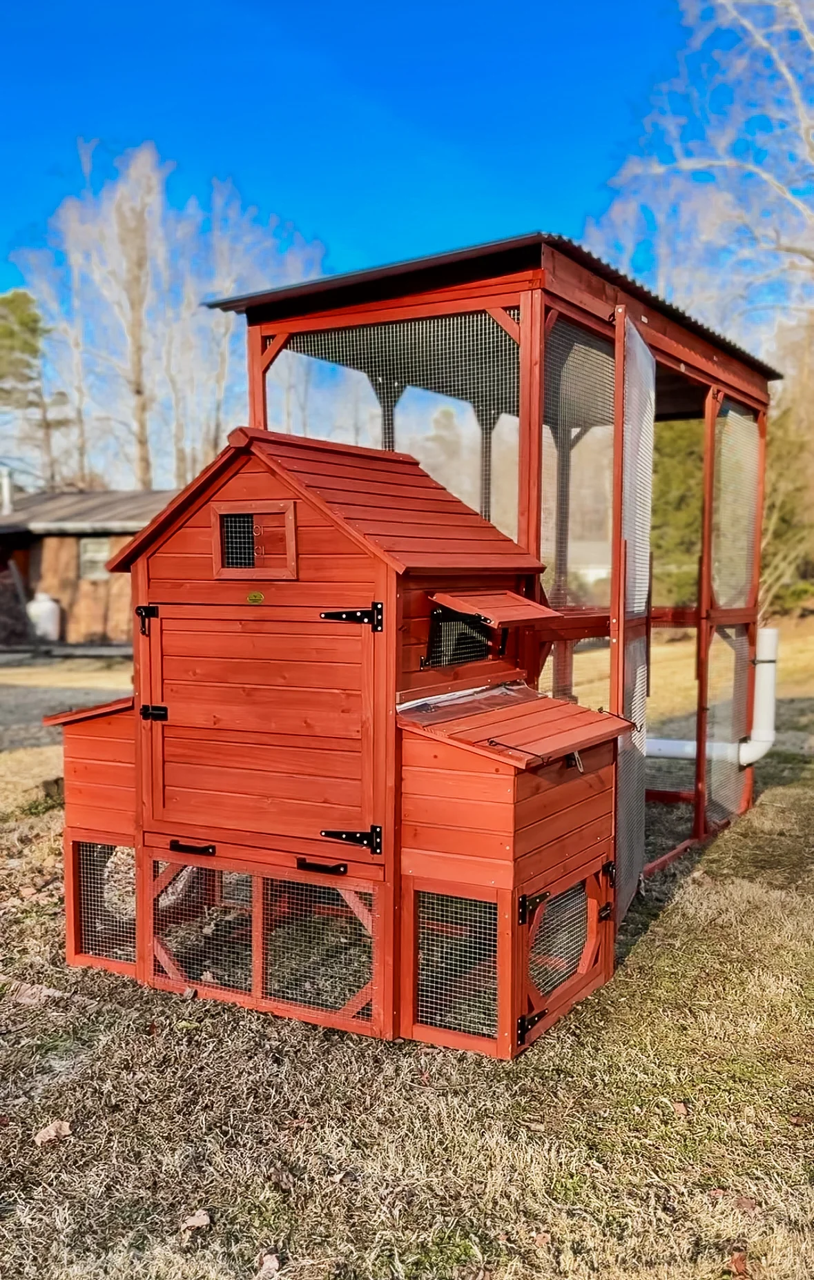 Chicken Coop for 6 Chickens – Orpington Lodge - Image 13