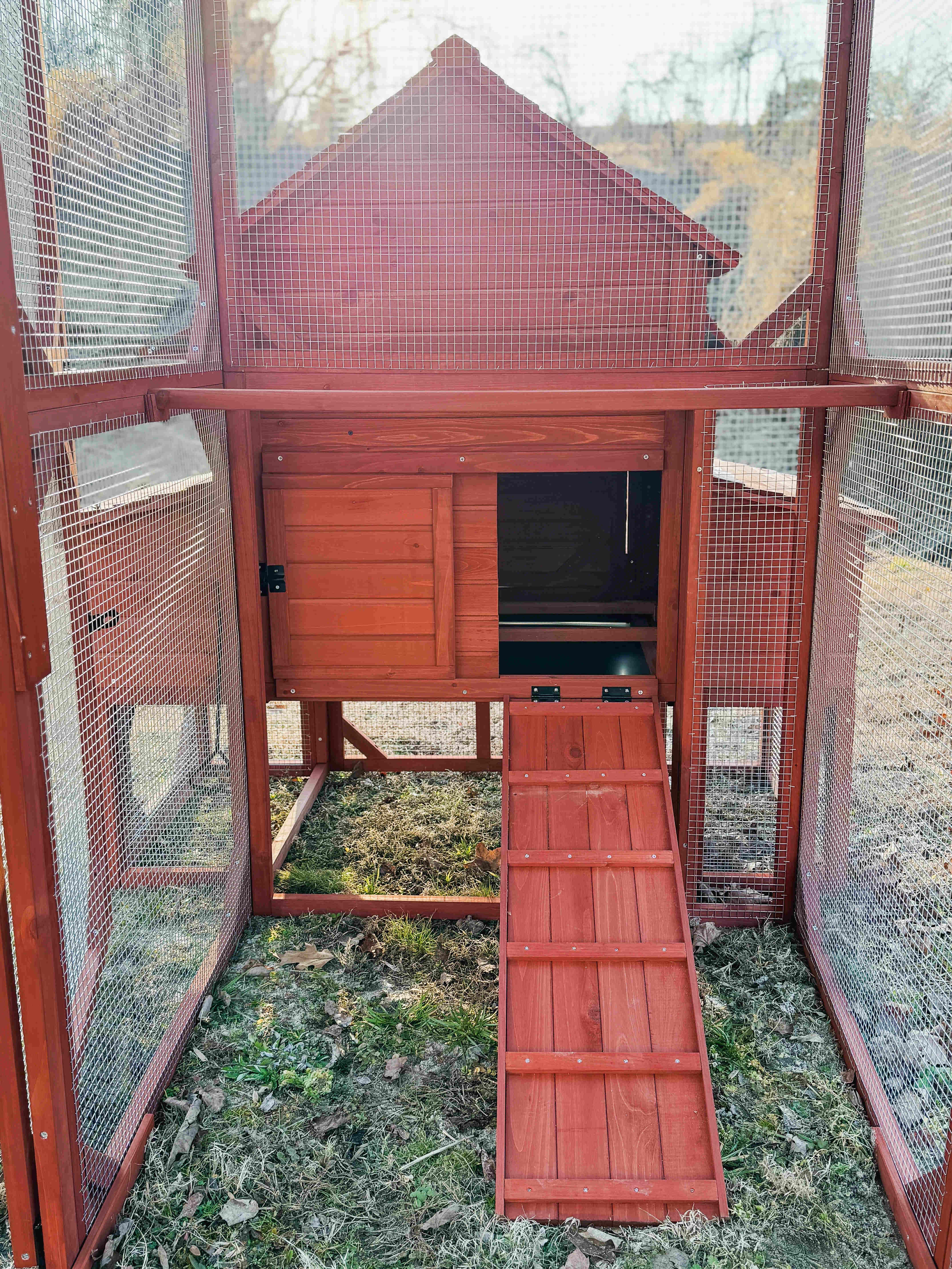 Chicken Coop for 6 Chickens – Orpington Lodge - Image 18