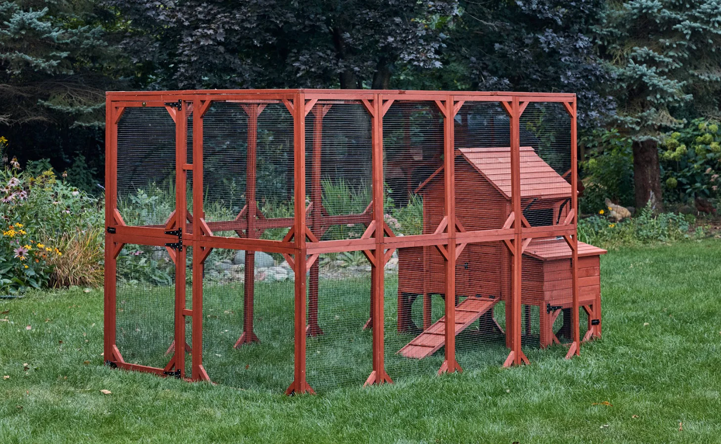 Chicken Coop for 6 Chickens – Orpington Lodge - Image 28