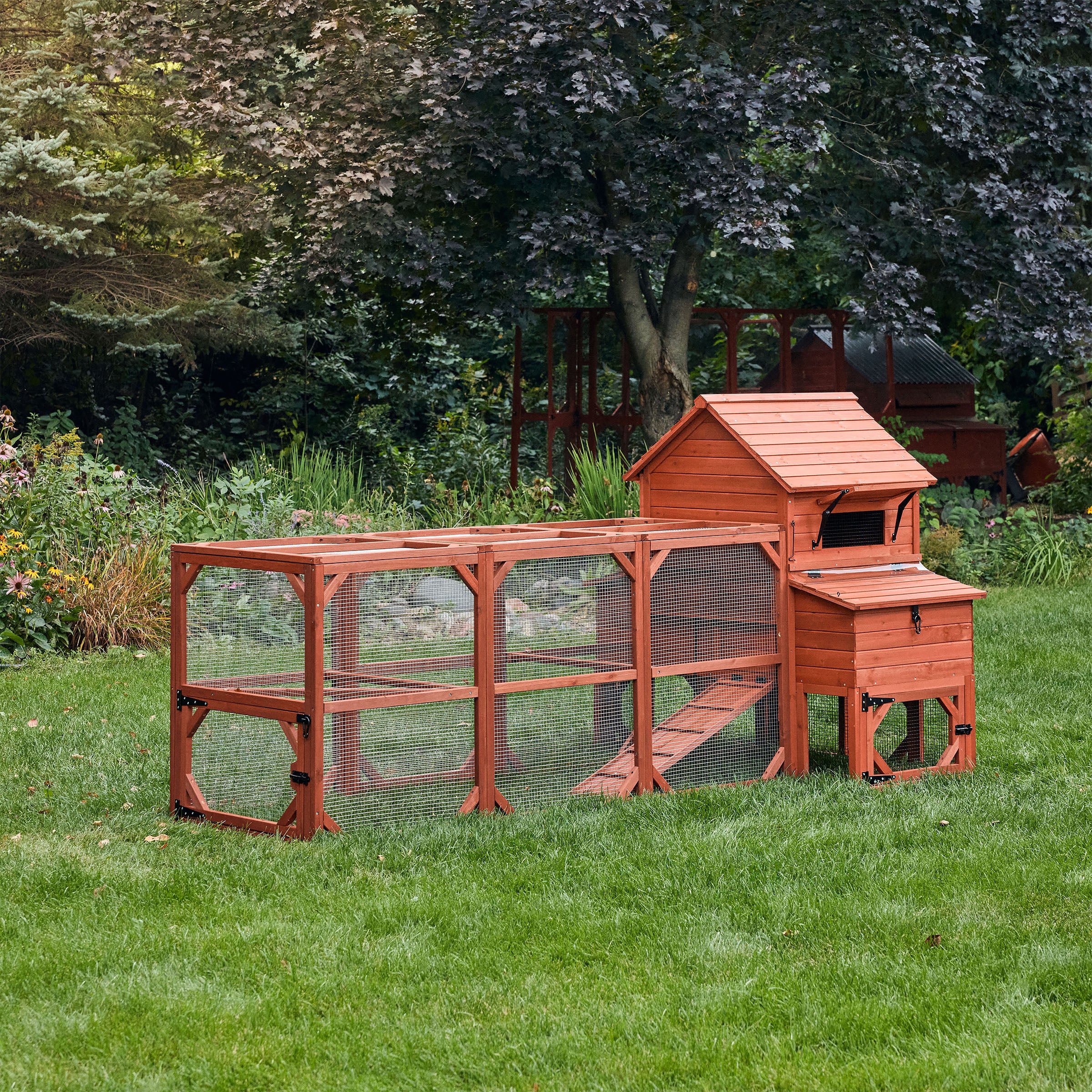 Chicken Coop for 6 Chickens – Orpington Lodge - Image 29