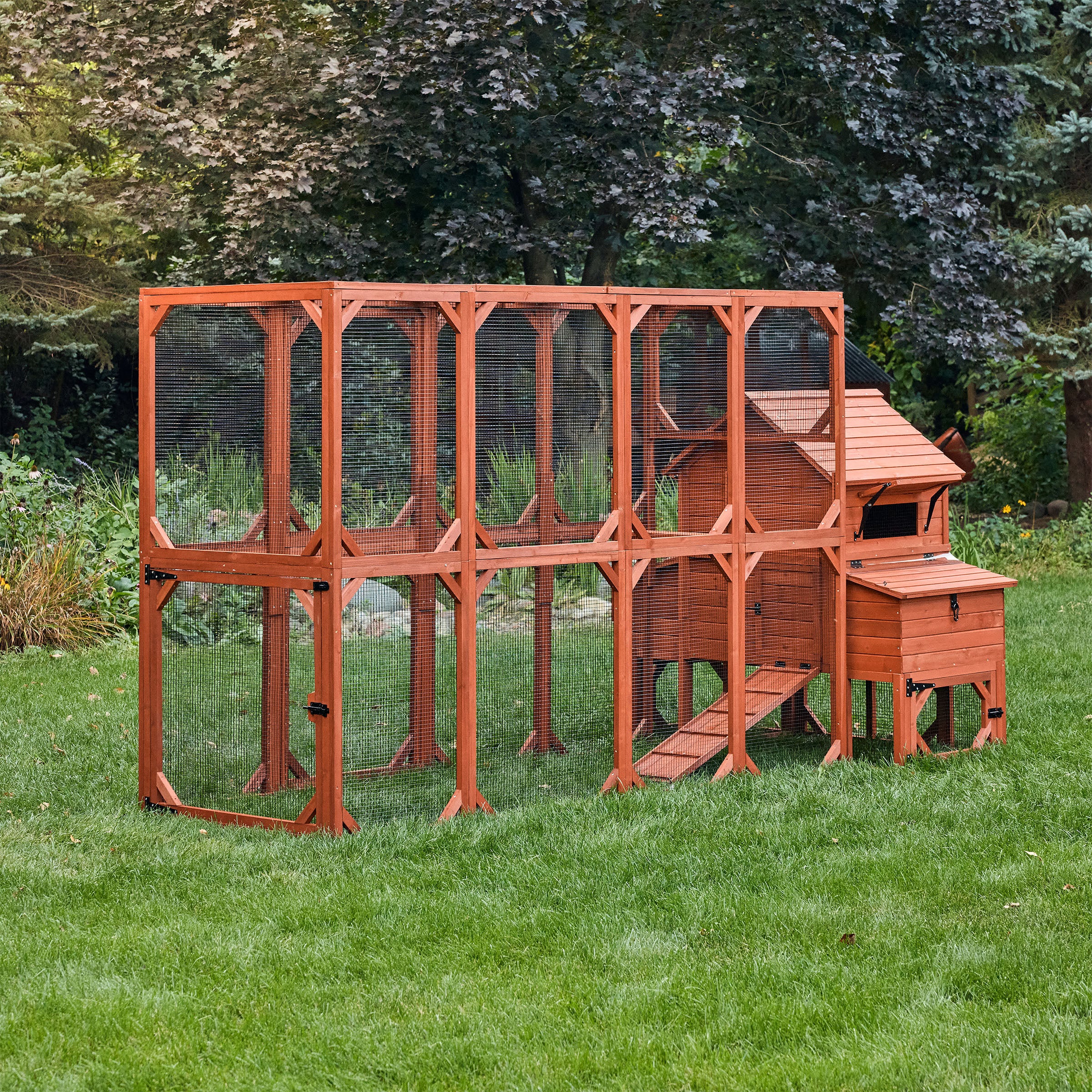 Chicken Coop for 6 Chickens – Orpington Lodge - Image 31