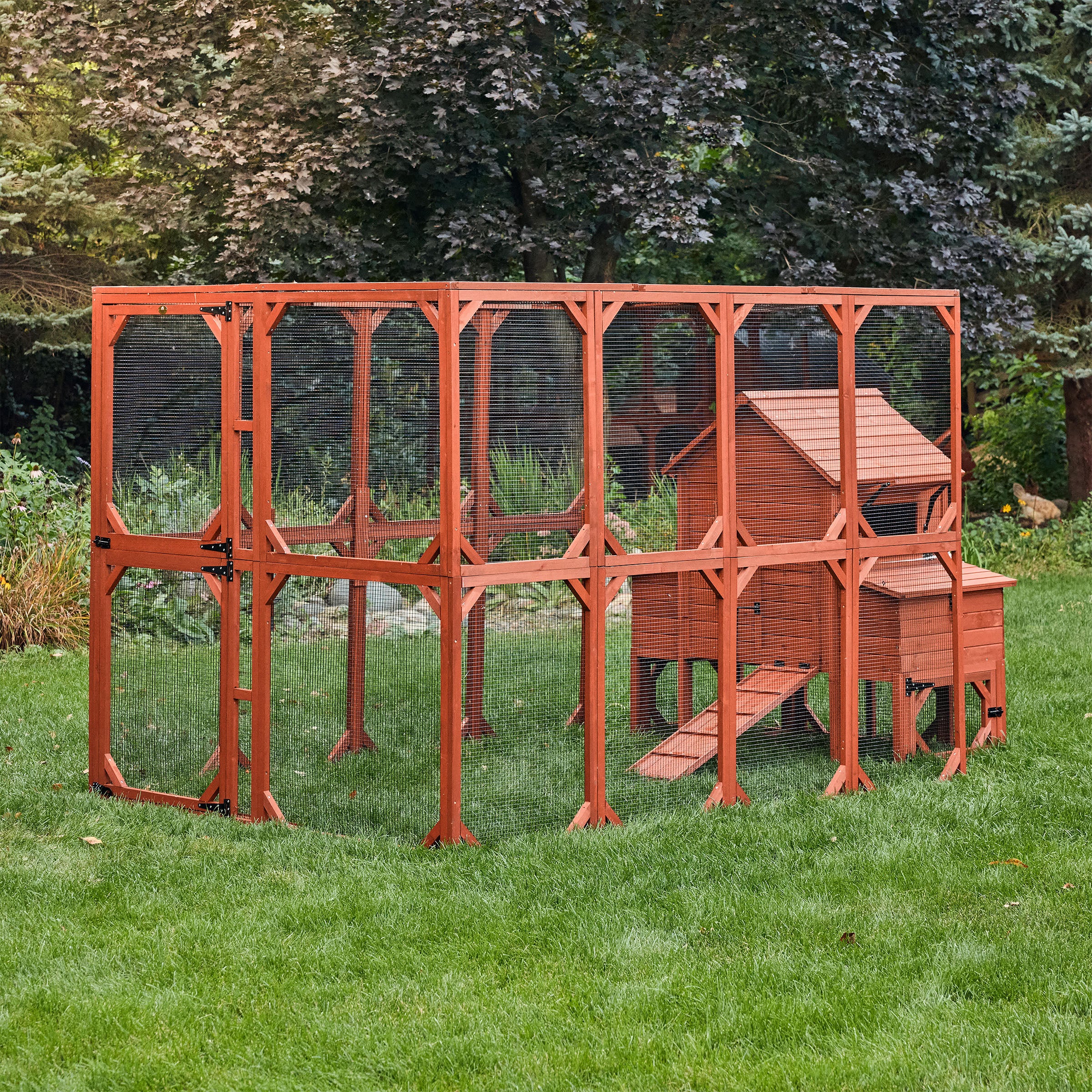 Chicken Coop for 6 Chickens – Orpington Lodge - Image 32