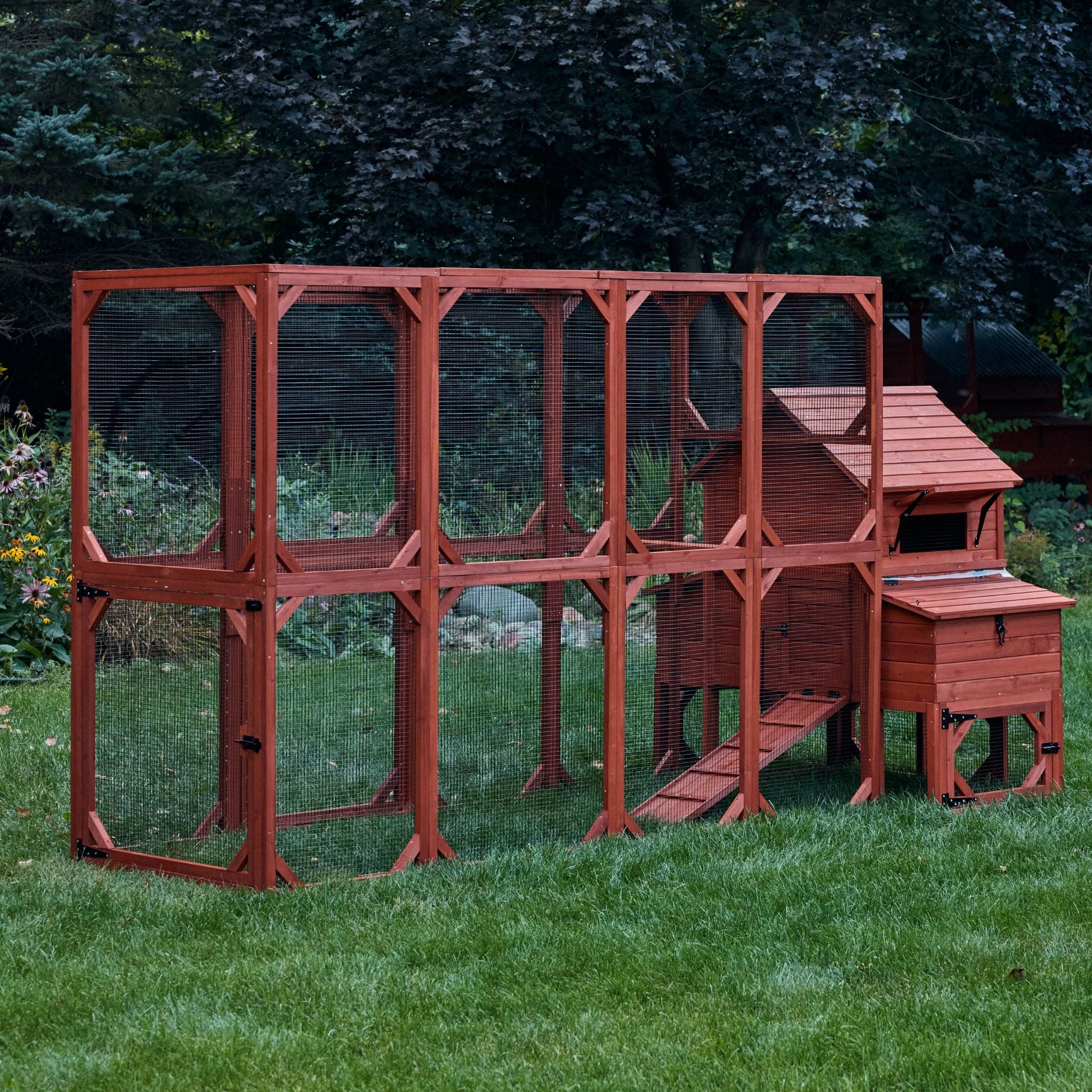 Chicken Coop for 6 Chickens – Orpington Lodge - Image 4