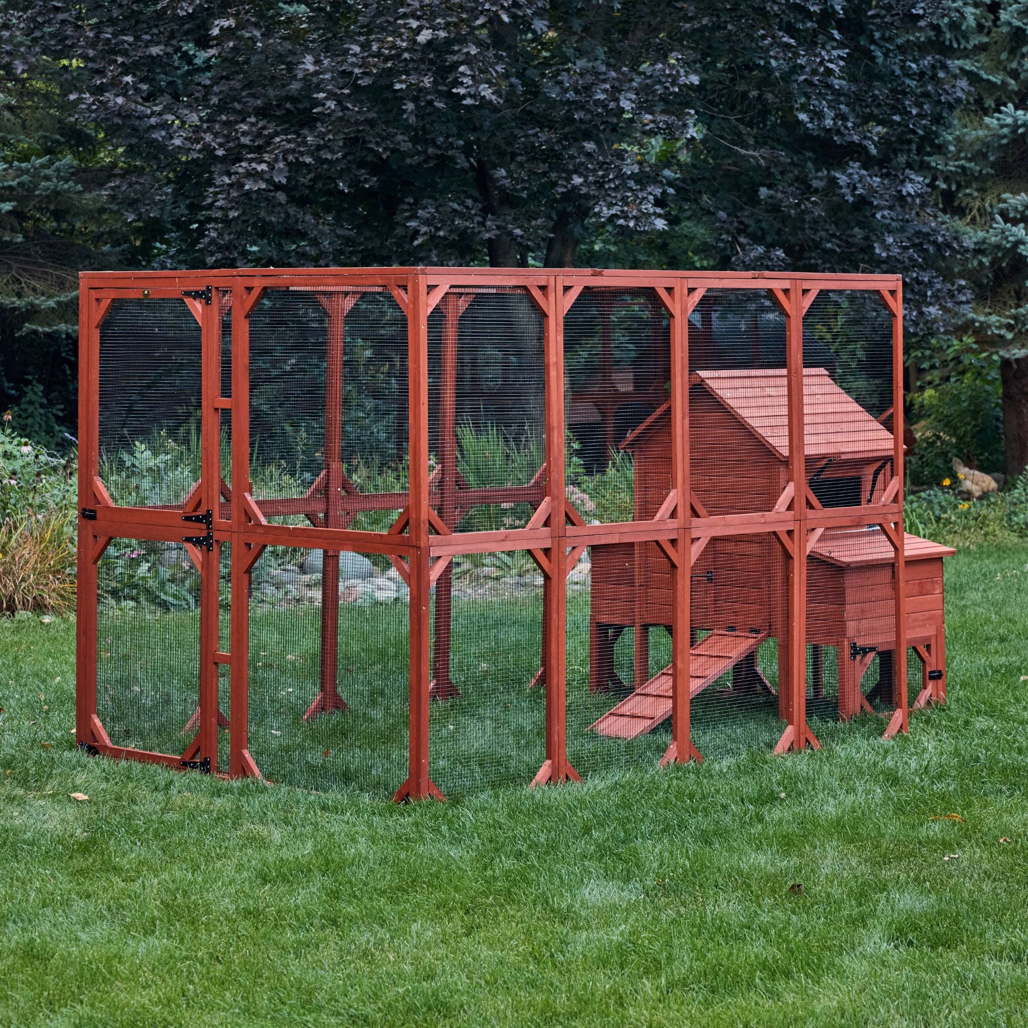 Chicken Coop for 6 Chickens – Orpington Lodge - Image 5