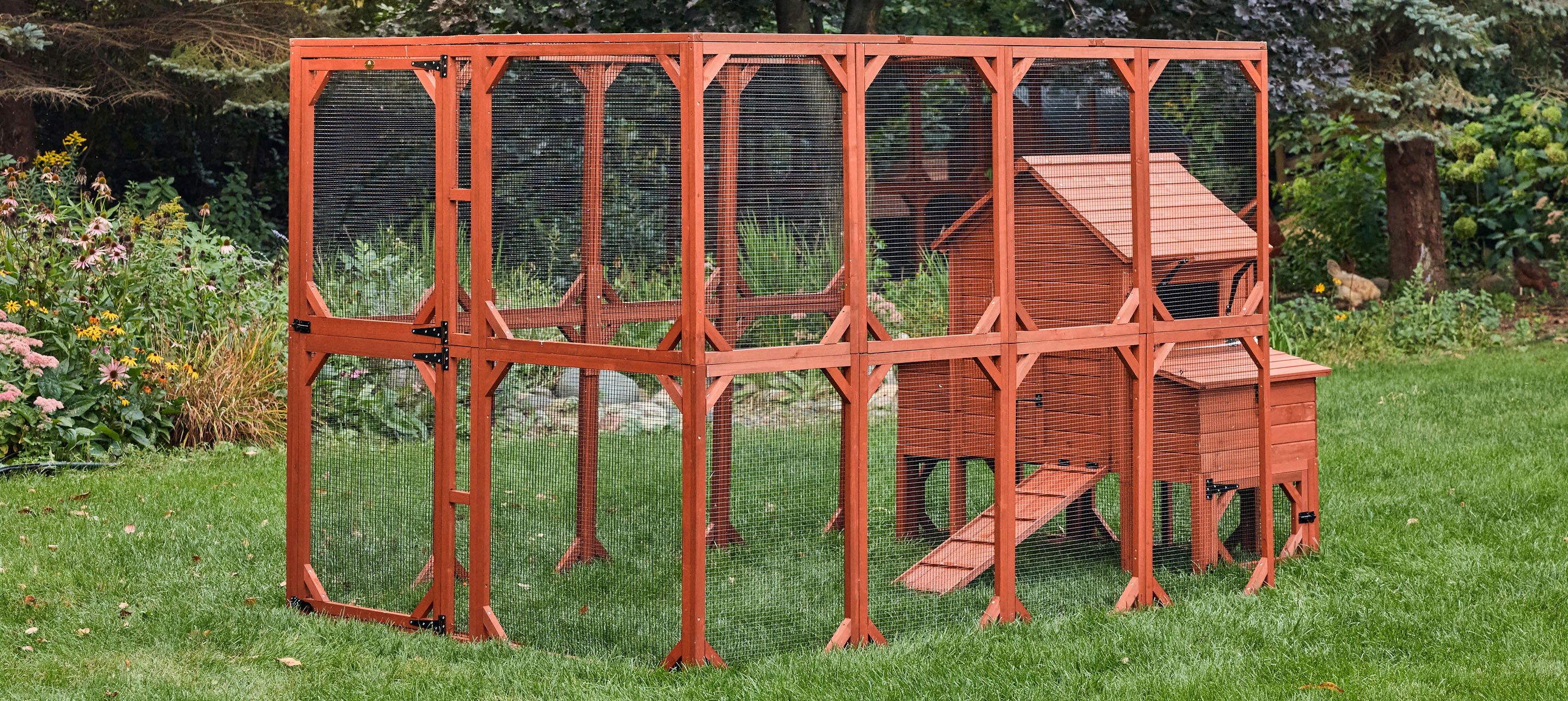 Chicken Coop for 6 Chickens – Orpington Lodge - Image 6