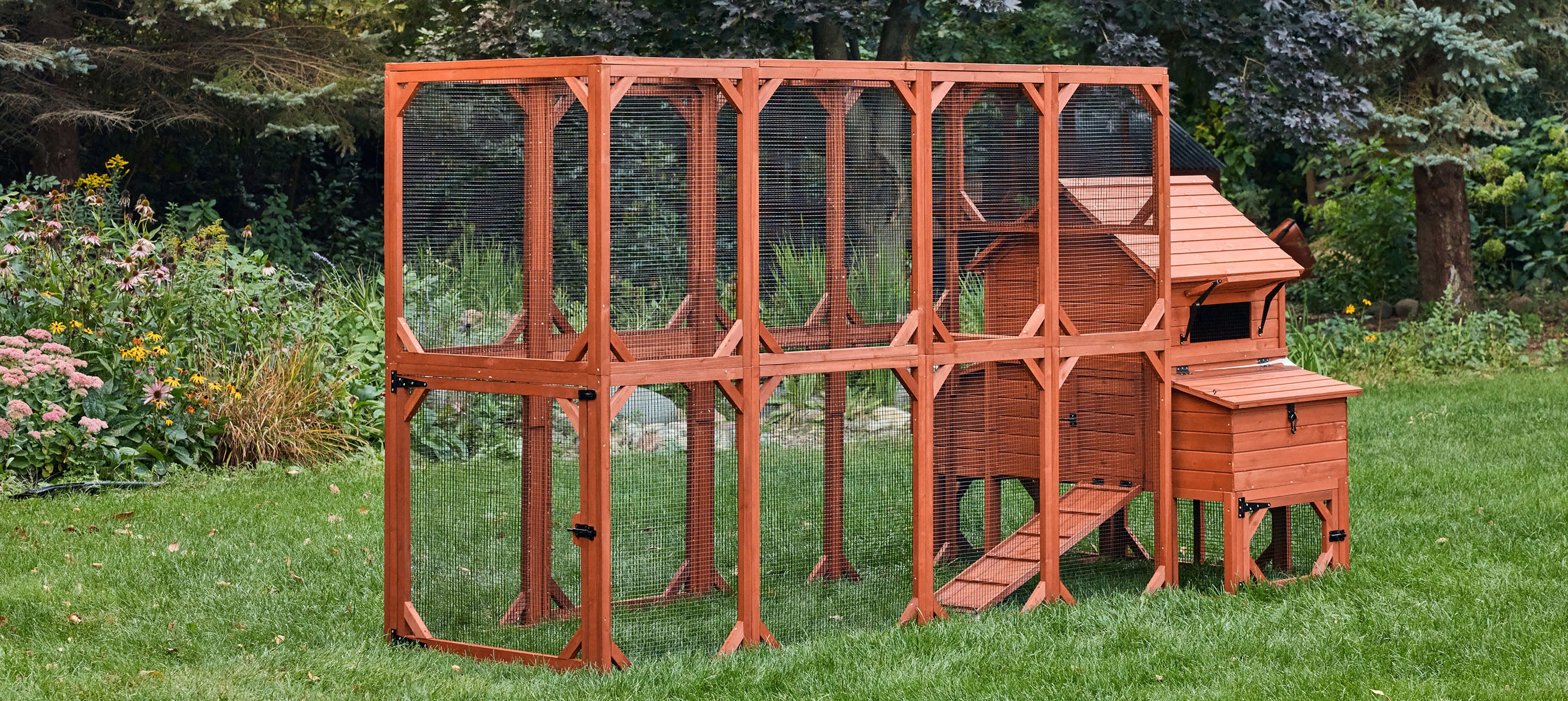 Chicken Coop for 6 Chickens – Orpington Lodge - Image 8