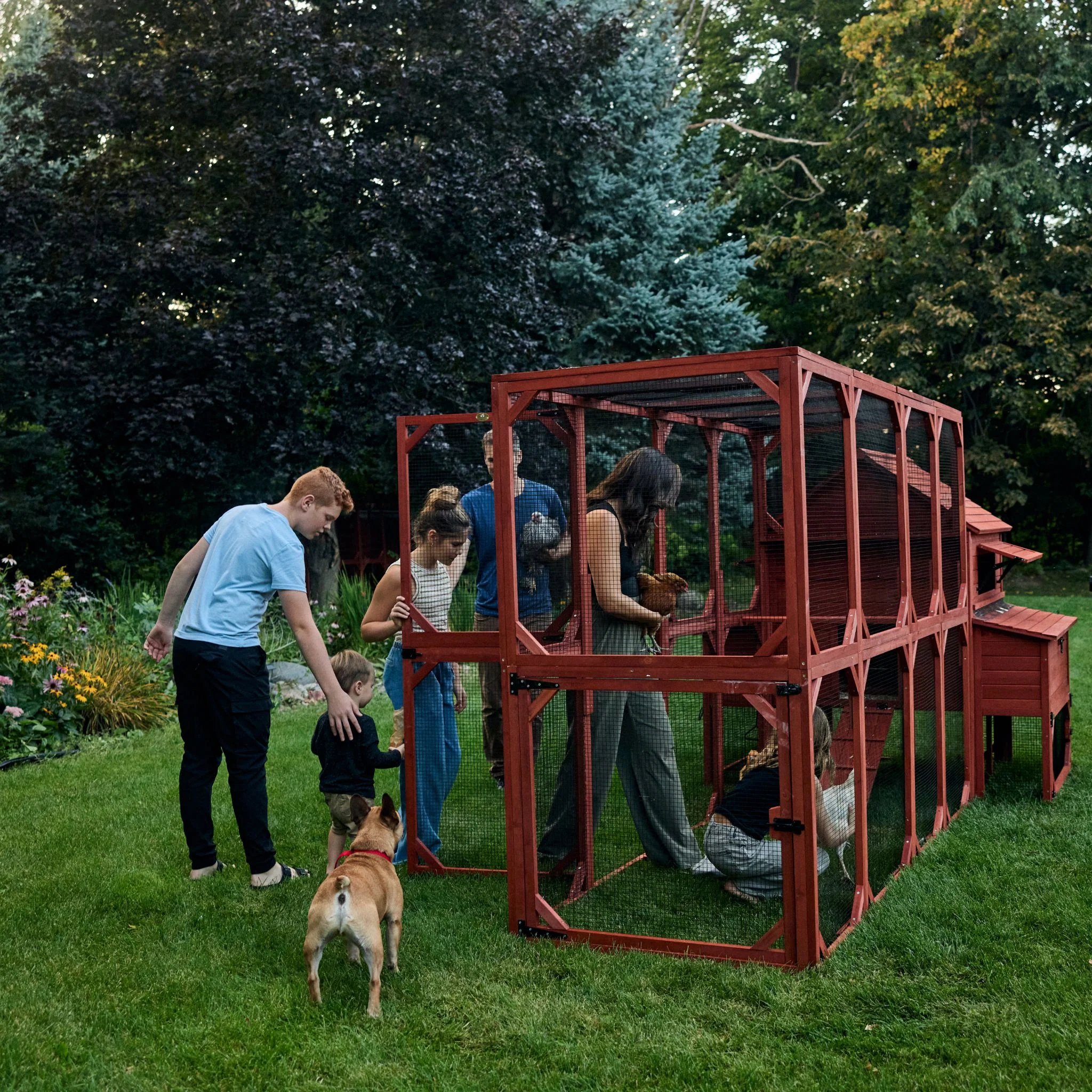 Chicken Coop for 10 Chickens – Rhode Island Homestead Coop with Run Extension Options - Image 14