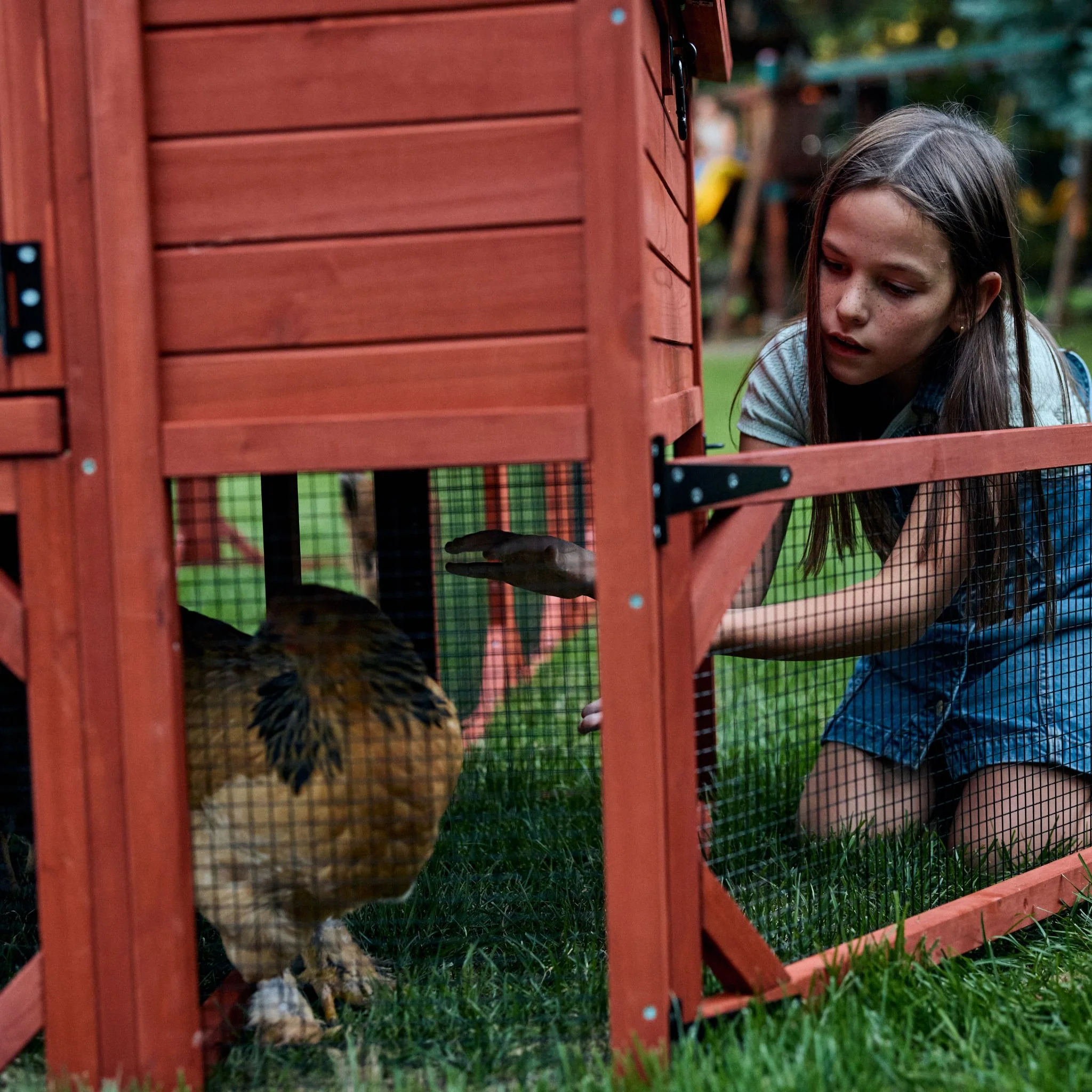 Chicken Coop for 10 Chickens – Rhode Island Homestead Coop with Run Extension Options - Image 26