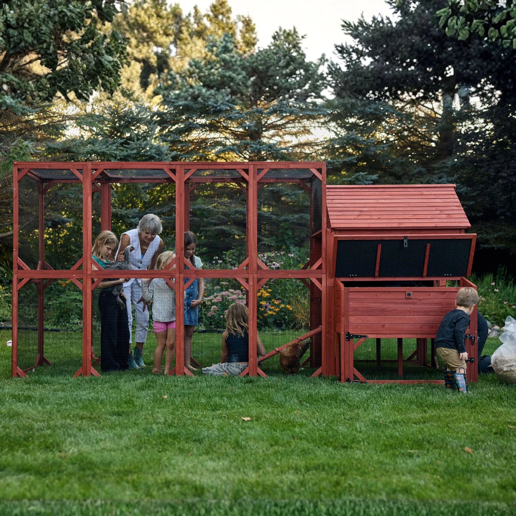 Chicken Coop for 10 Chickens – Rhode Island Homestead Coop with Run Extension Options - Image 12