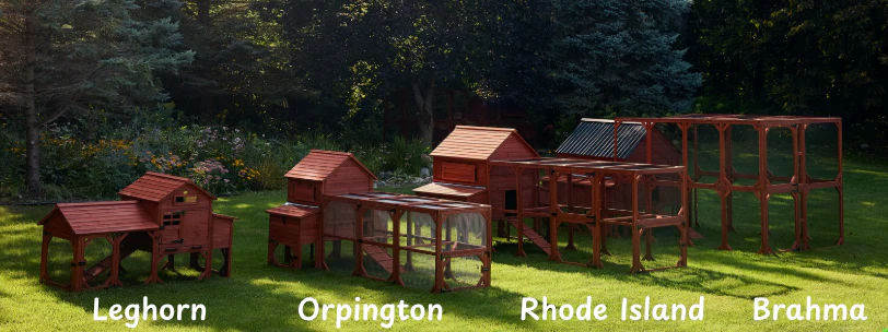 Chicken Coop for 6 Chickens – Orpington Lodge - Image 26