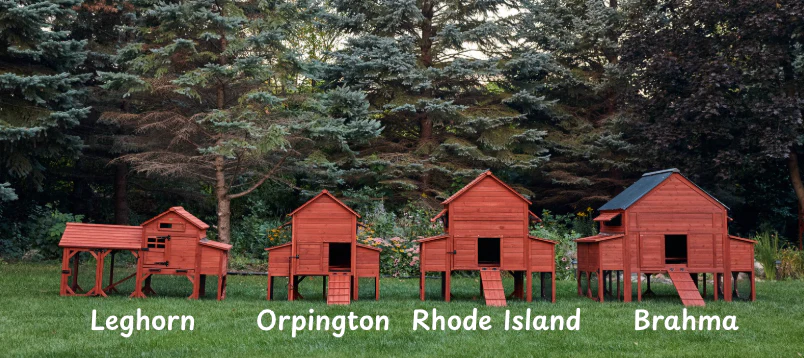 Chicken Coop for 6 Chickens – Orpington Lodge - Image 27