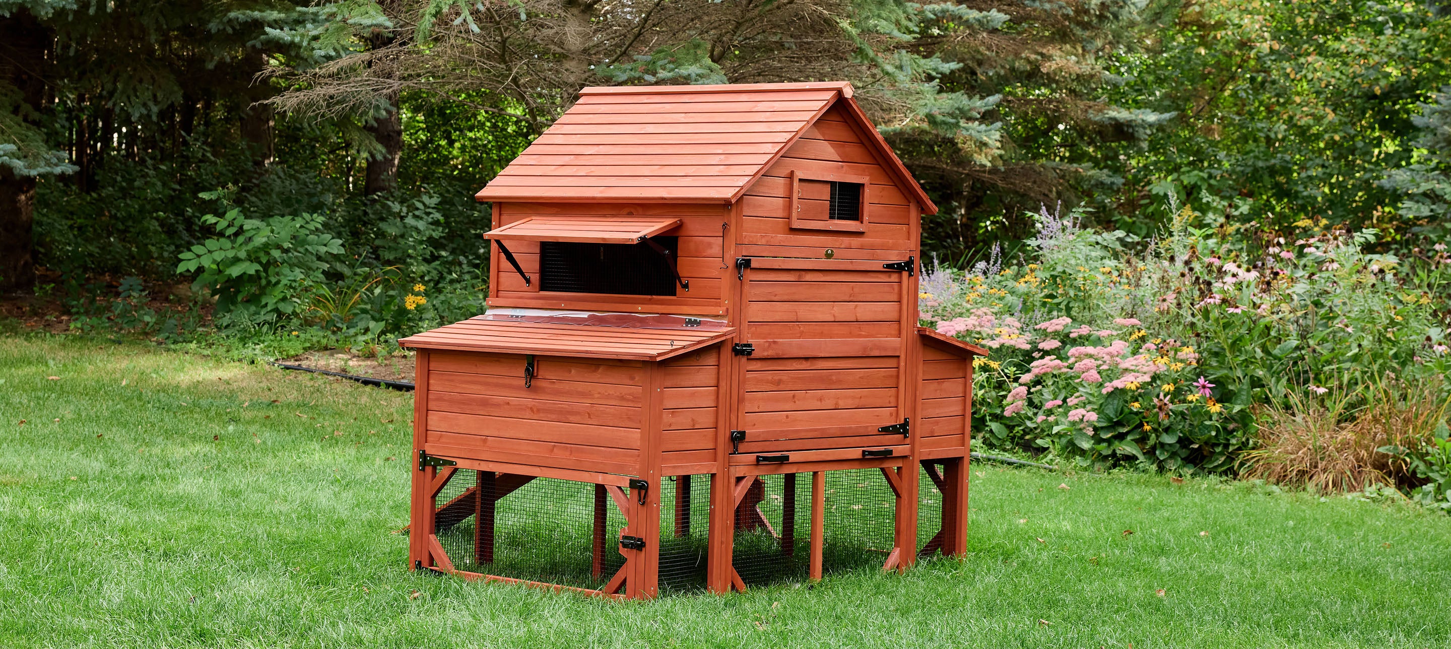 Chicken Coop for 10 Chickens – Rhode Island Homestead Coop with Run Extension Options - Image 11