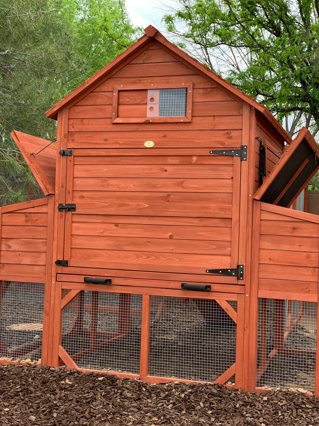 Chicken Coop for 10 Chickens - Rhode Island Homestead (Hen House Only) - Image 6