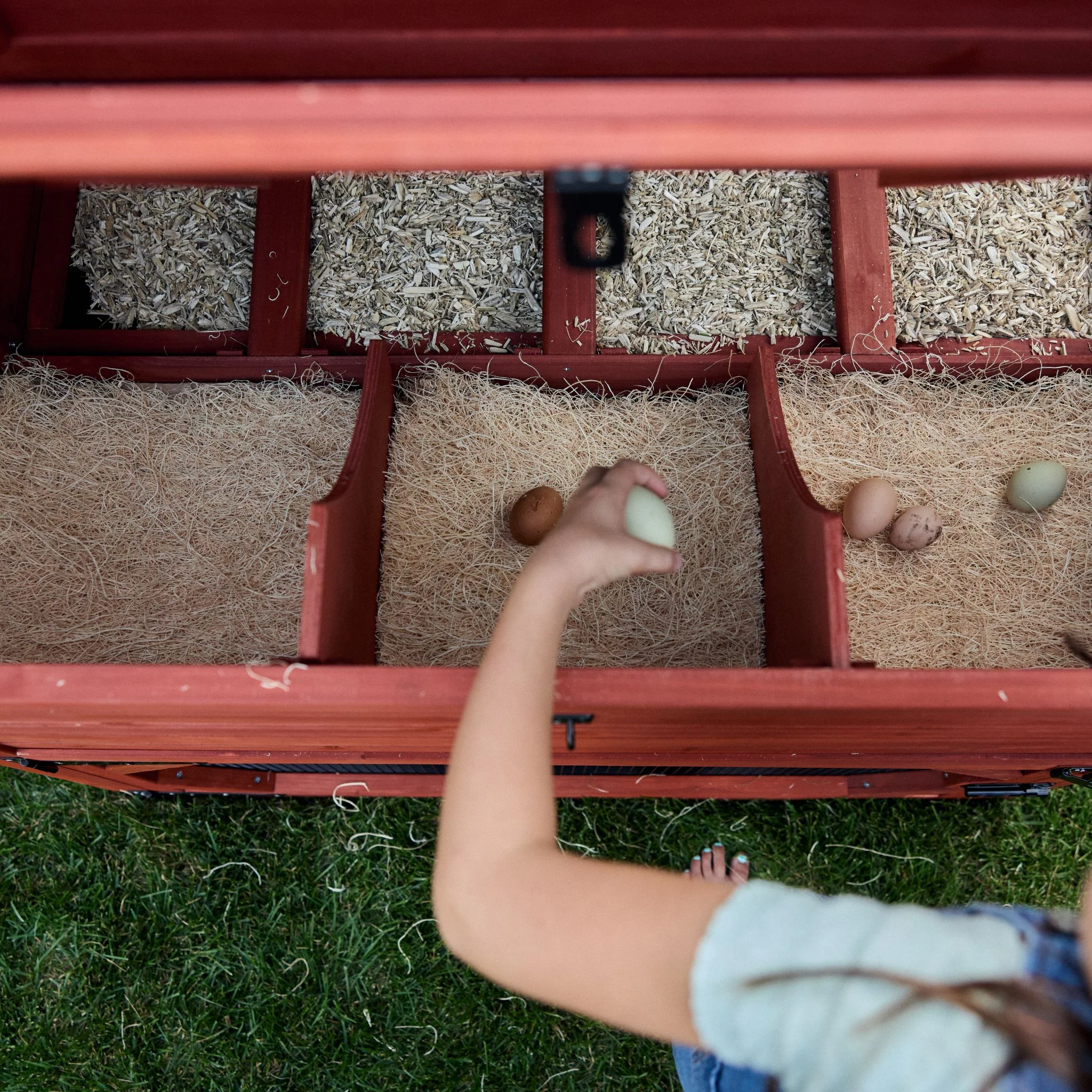 Chicken Coop for 10 Chickens – Rhode Island Homestead Coop with Run Extension Options - Image 20