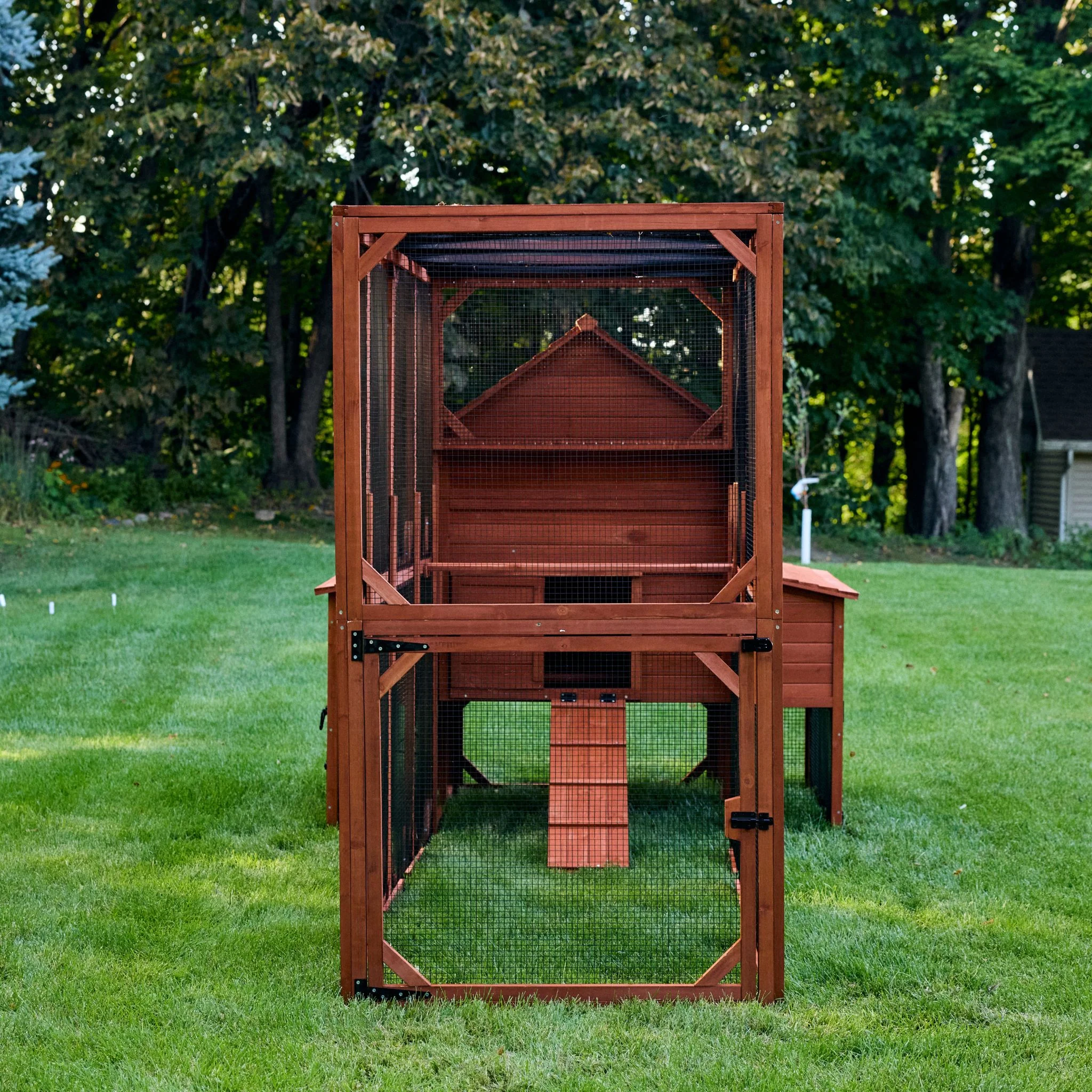 Chicken Coop for 10 Chickens – Rhode Island Homestead Coop with Run Extension Options - Image 13