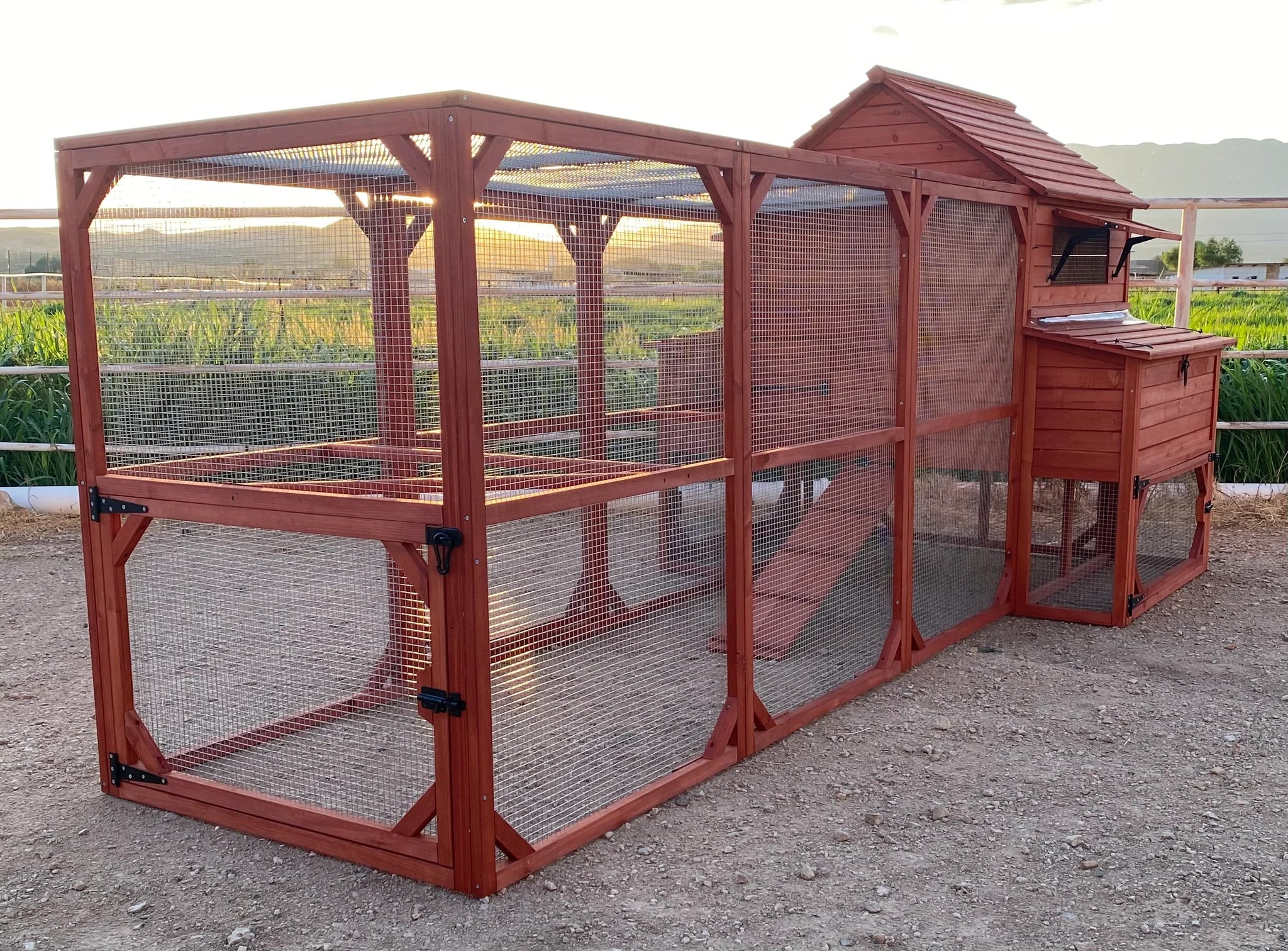 Chicken Coop for 10 Chickens – Rhode Island Homestead Coop with Run Extension Options - Image 15