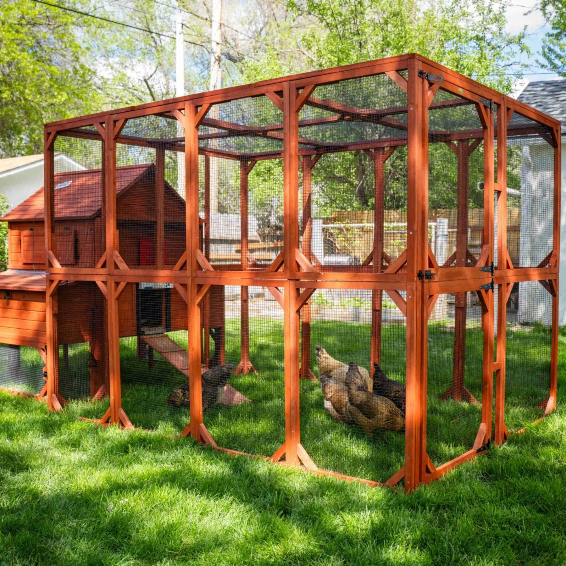 Chicken Coop for 10 Chickens – Rhode Island Homestead Coop with Run Extension Options - Image 16