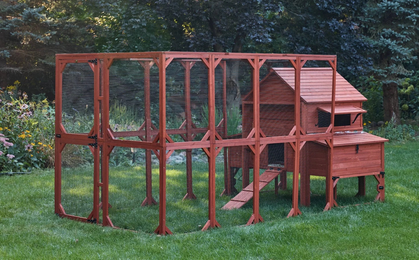 Chicken Coop for 10 Chickens – Rhode Island Homestead Coop with Run Extension Options - Image 3
