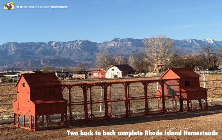 Chicken Coop for 10 Chickens – Rhode Island Homestead Coop with Run Extension Options - Image 30